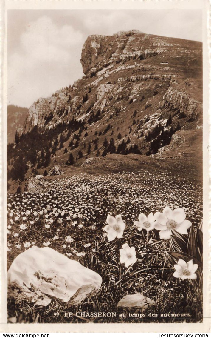 SUISSE - Le Chasseron - Le Chasseron Au Temps Des Anémones - Pré - Fleurs - Carte Postale Ancienne - Other & Unclassified