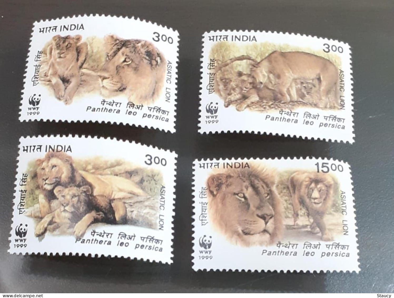 INDIA 1999 WWF Protected Animal Asiatic Lions 4v Set MNH As Per Scan - Nuovi