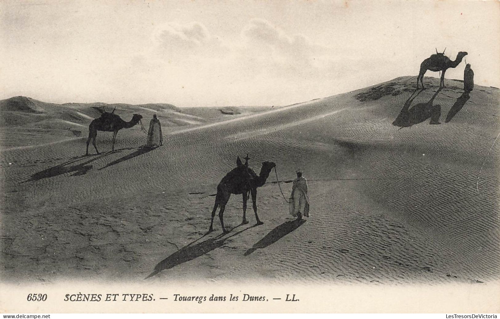 AFRIQUE - Scènes Et Types - Touaregs Dans Le Dunes - Carte Postale Ancienne - Non Classés