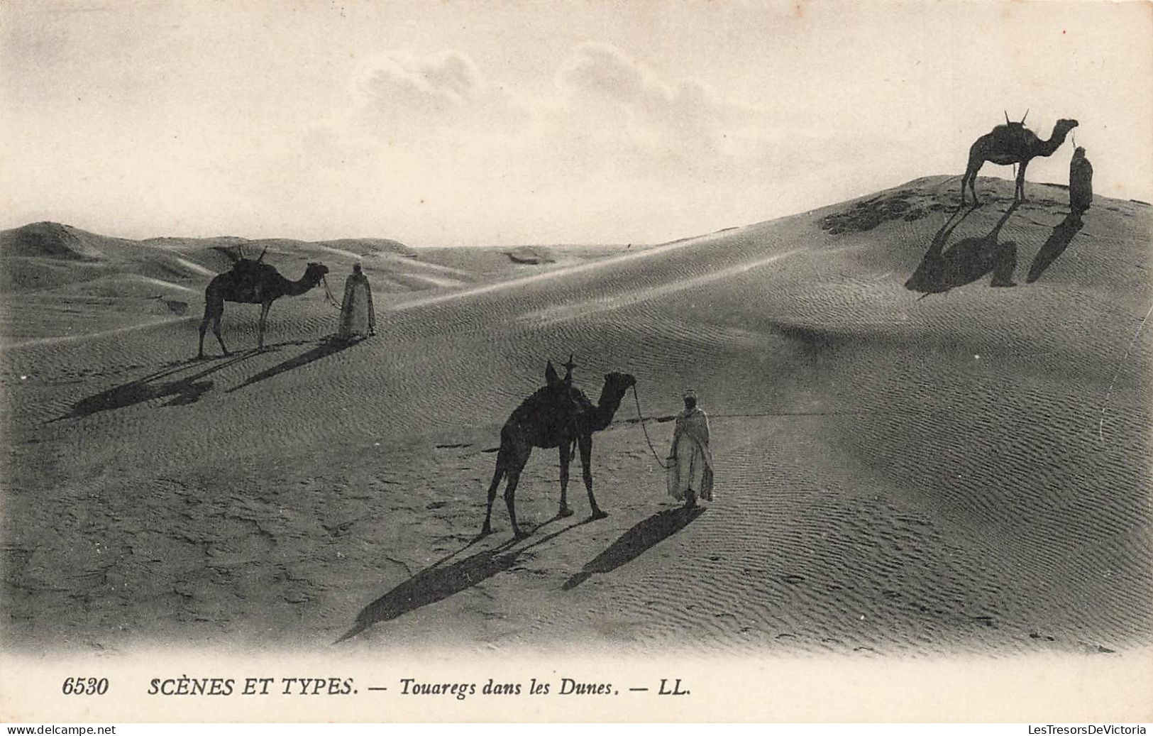 AFRIQUE - Scènes Et Types - Touaregs Dans Le Dunes - Carte Postale Ancienne - Ohne Zuordnung