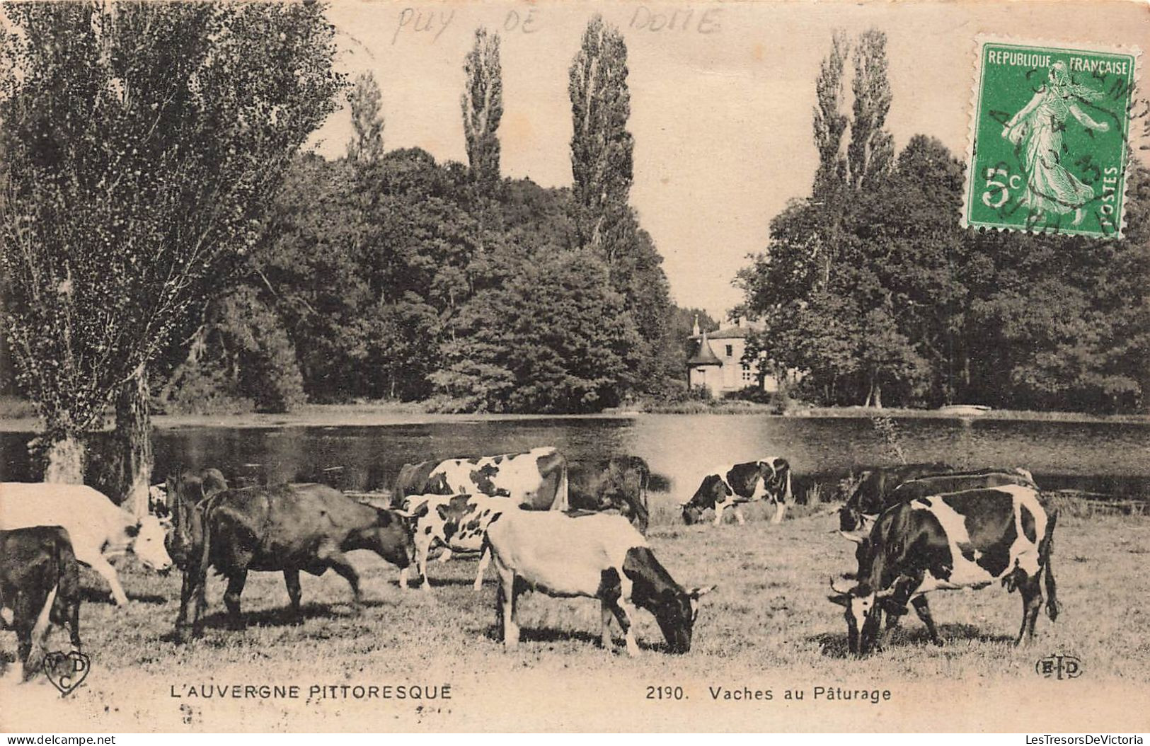 FRANCE - L'Auvergne Pittoresque - Vaches Au Pâturage - Ferme - Etang - Carte Postale Ancienne - Auvergne