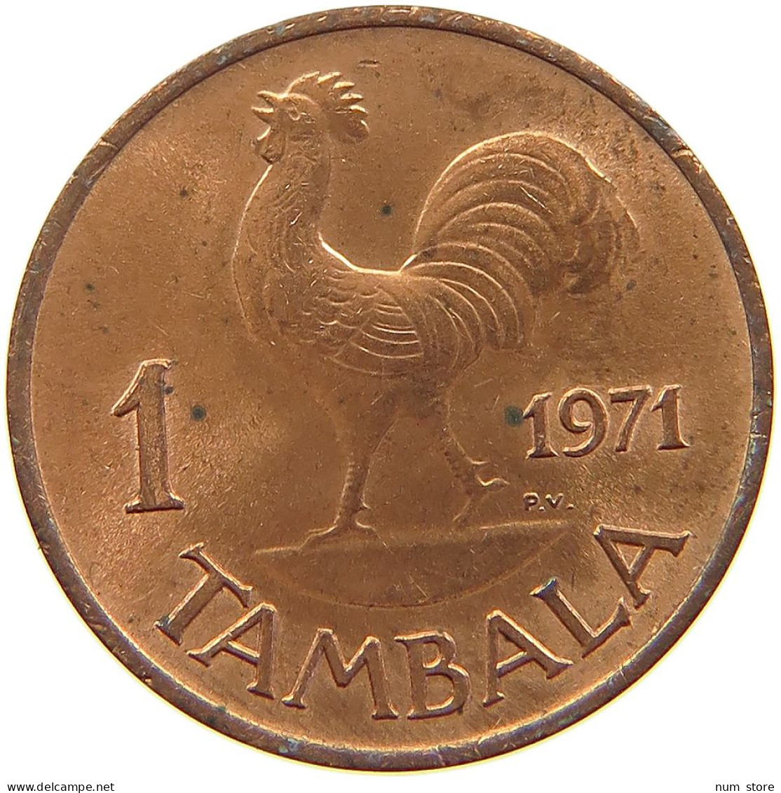 MALAWI TAMBALA 1971  #a086 0023 - Malawi