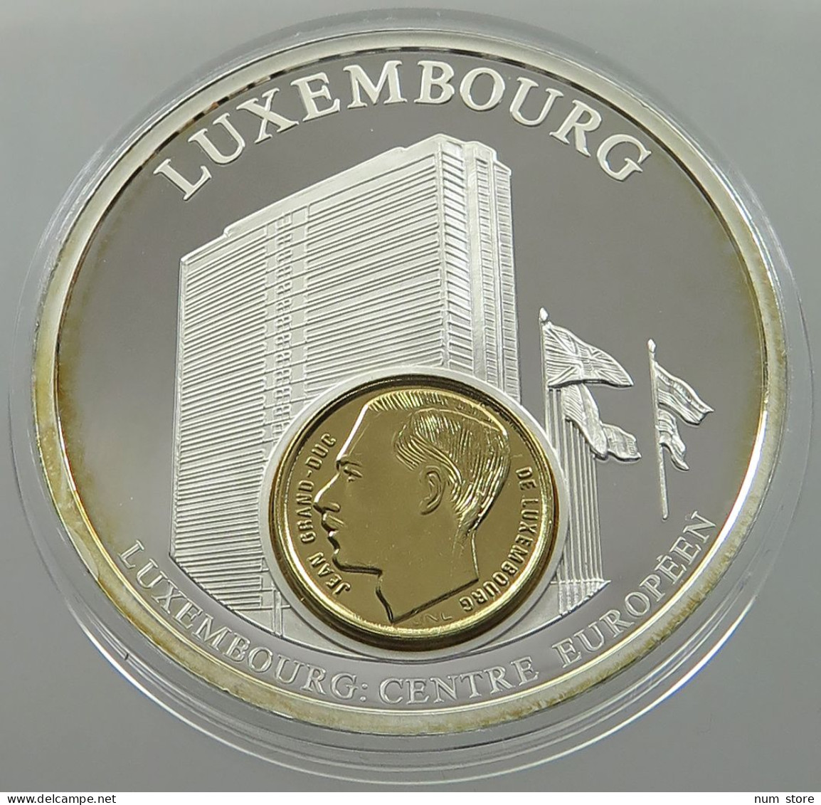 LUXEMBOURG MEDAL  EUROPEAN CURRENCIES #sm08 0481 - Luxembourg