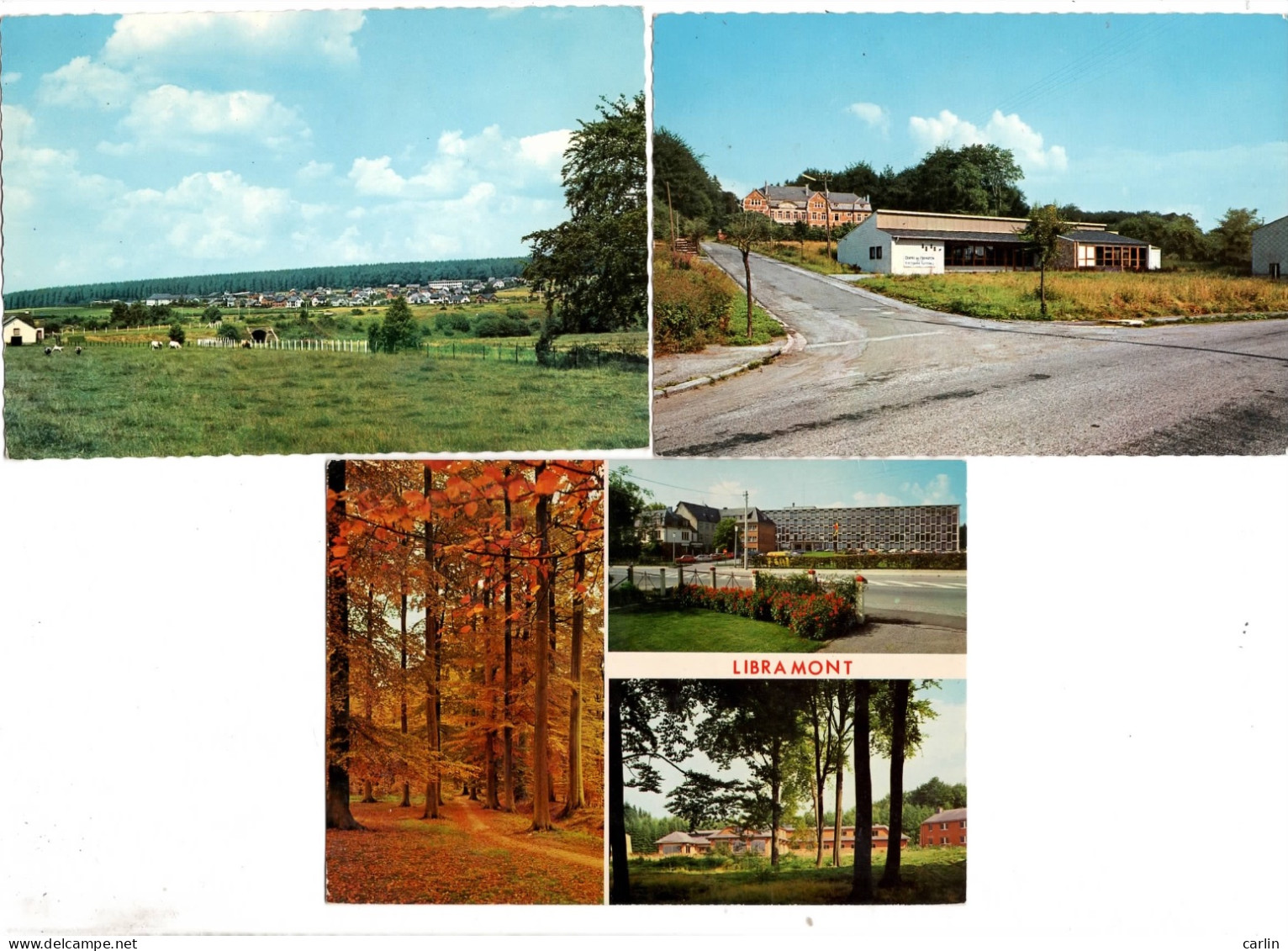 Lot De 5 Cartes Postales De Libramont - Libramont-Chevigny