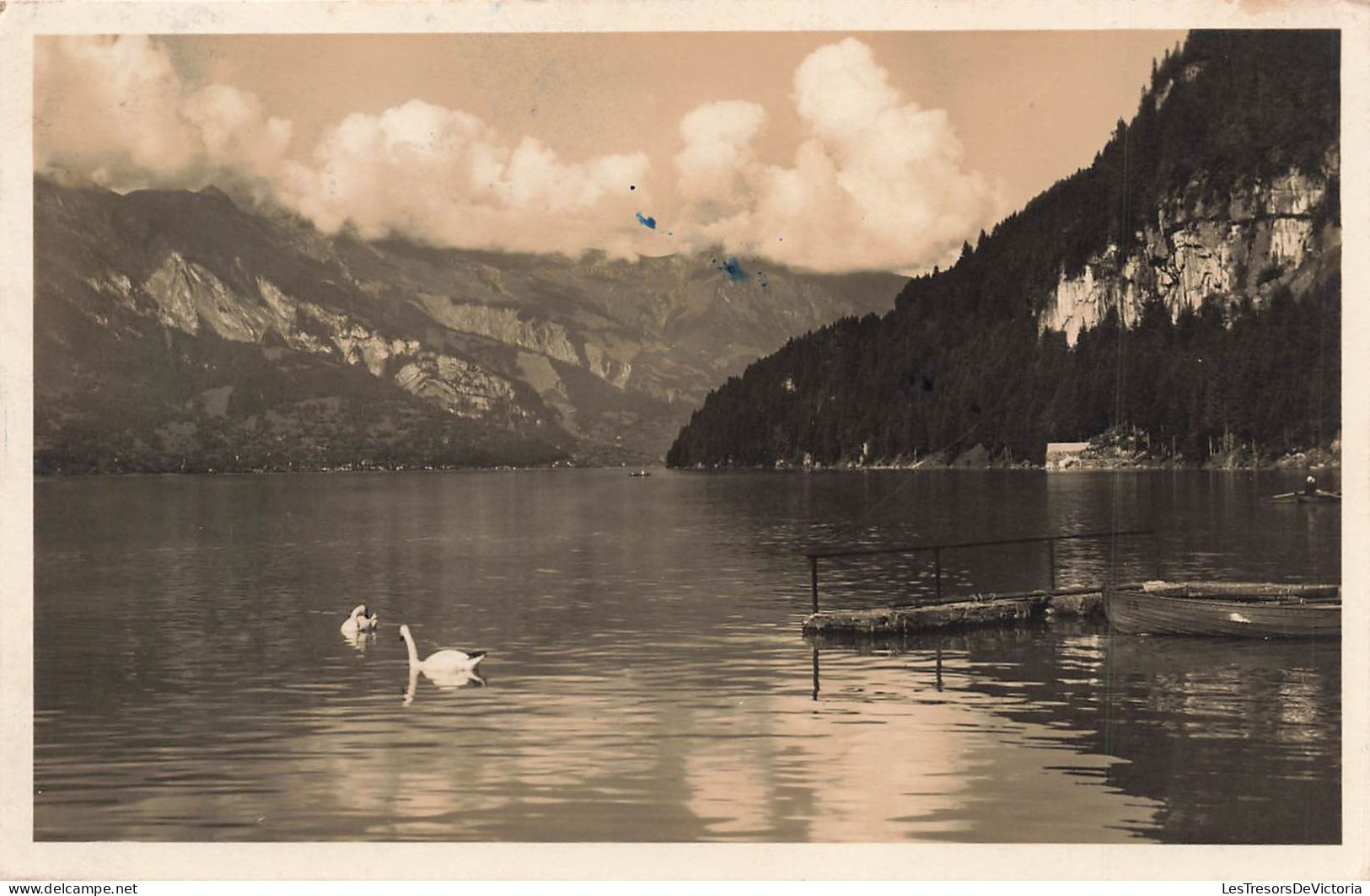 SUISSE - Iseltwald - Brienzersee - Cygnes Sur Le Lac - Carte Postale Ancienne - Iseltwald