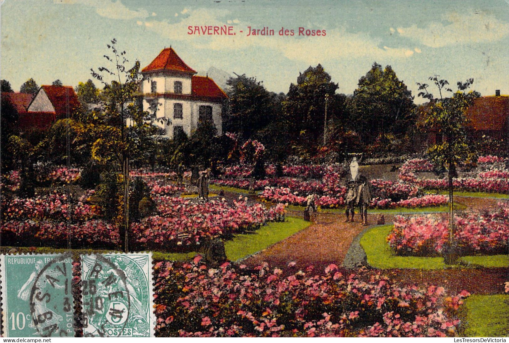 FRANCE - Saverne - Jardin Des Roses - Colorisé - Carte Postale Ancienne - Saverne