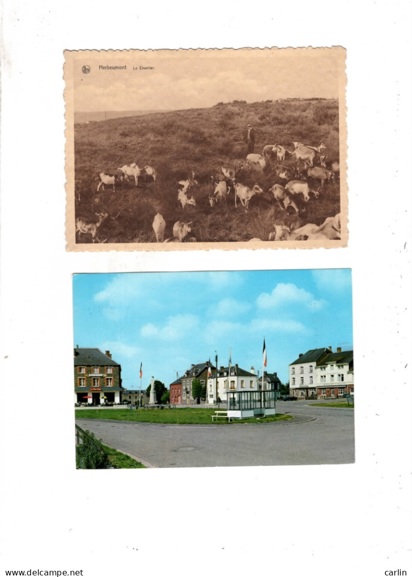 Lot De 10 Cartes Postales De Herbeumont - Herbeumont