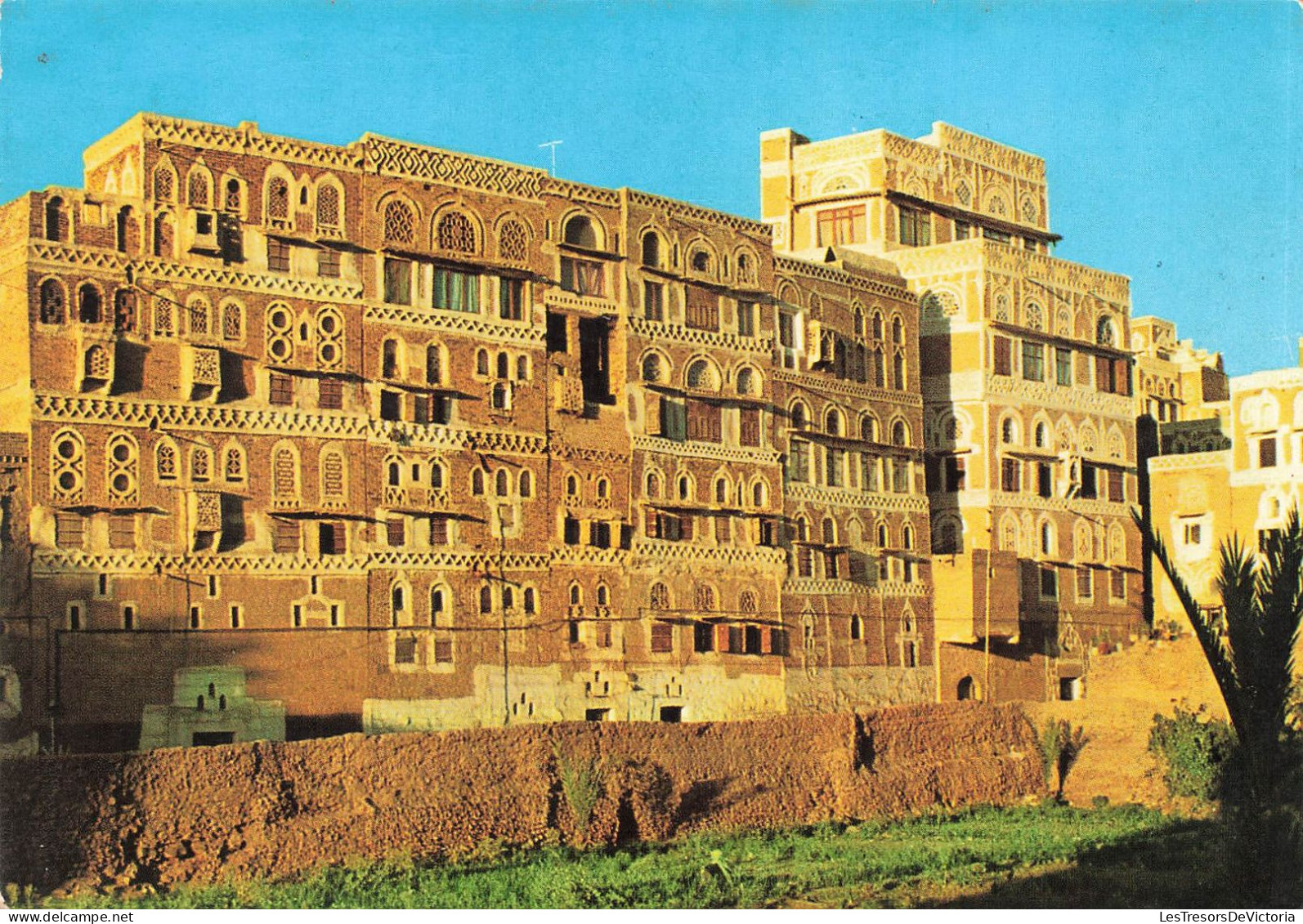 YÉMEN - Sanaa - Potagers Et Bâtiments Typiques - Colorisé - Carte Postale - Yemen