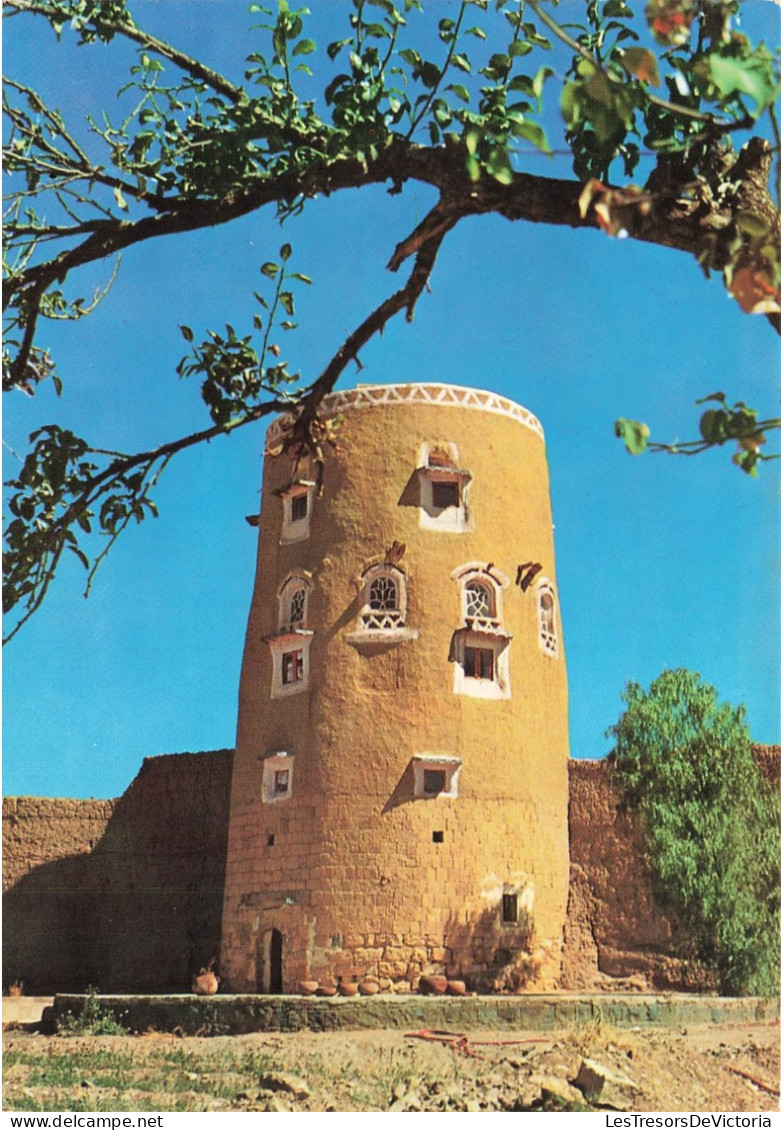 YÉMEN - Rowda - Habitation Typique à Tour - Colorisé - Carte Postale - Yemen