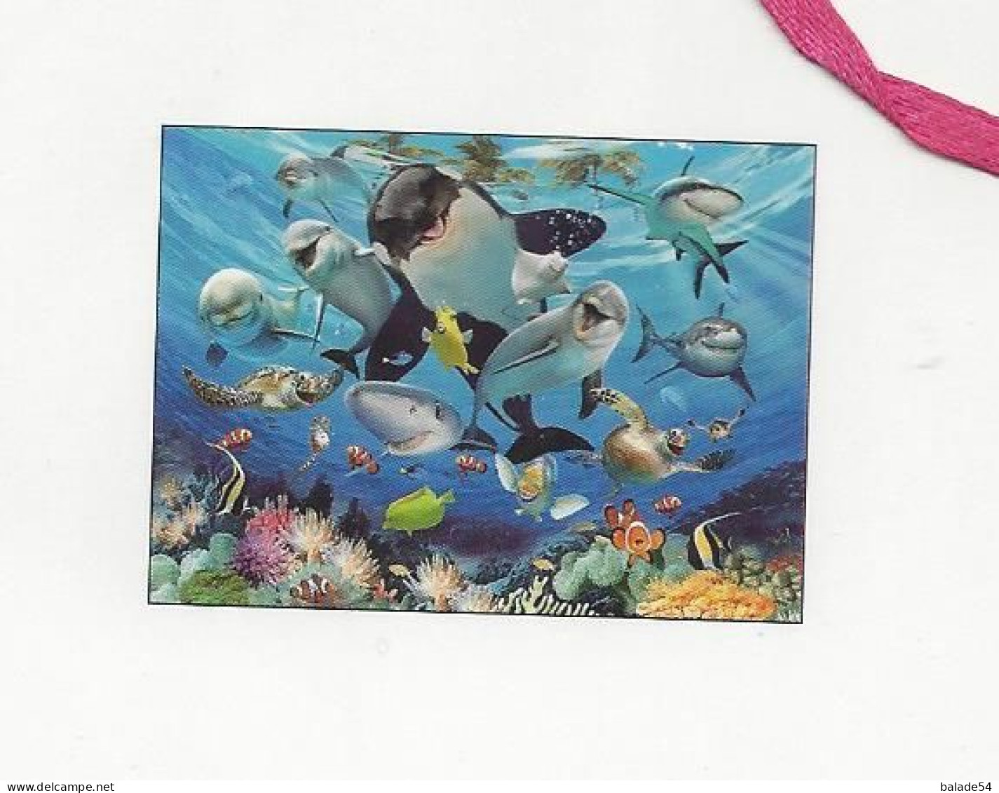 Carte Double Lenticulaire 3D Thème Dauphin, Requin, Tortue, Poisson Animaux De La Mer Format 19 X 13 Cm Avec Enveloppe - Dolfijnen