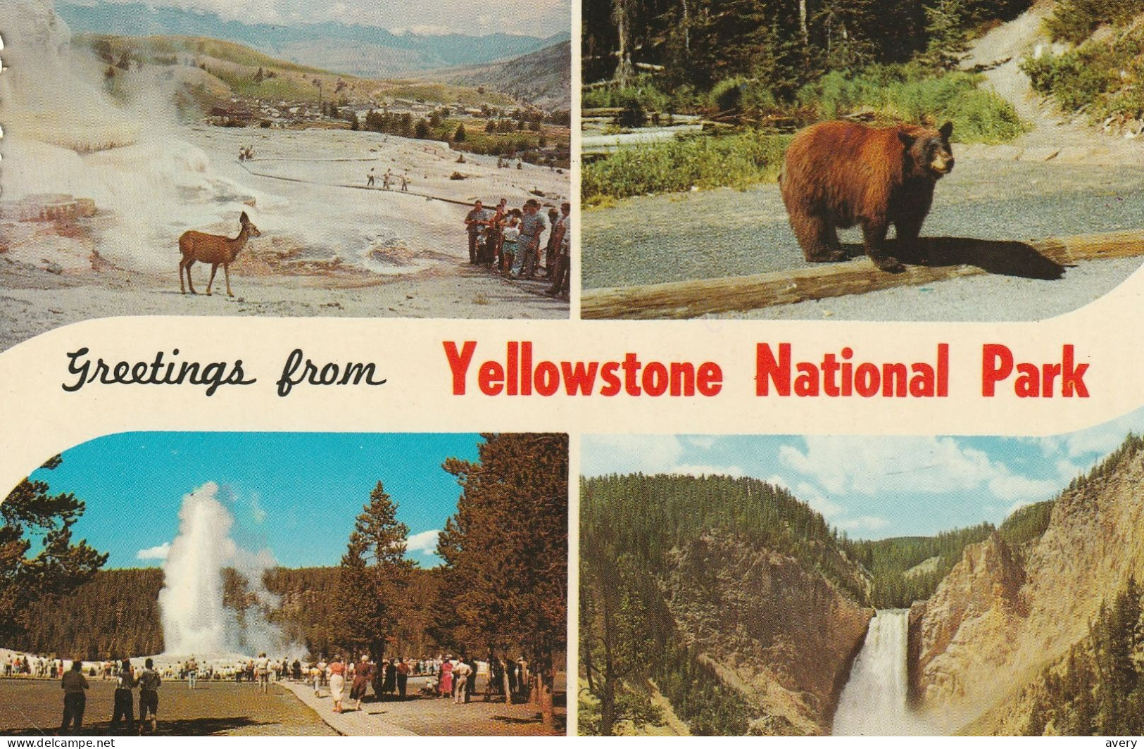 Greetings From Yellowstone National Park, Wyoming - Yellowstone