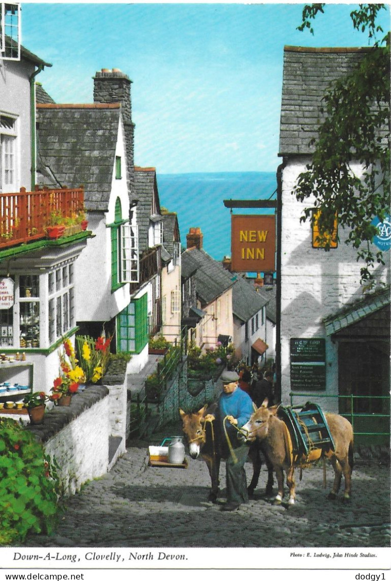 DOWN-A-LONG, CLOVELLY, NORTH DEVON, ENGLAND. UNUSED POSTCARD   Zq2 - Clovelly