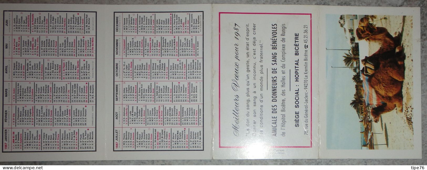 Petit Calendrier  De Poche 1987 Don De Sang Amicale Donneurs De Sang Hôpital Bicetre  - Port Elkantaoui Tunisie - Small : 1981-90