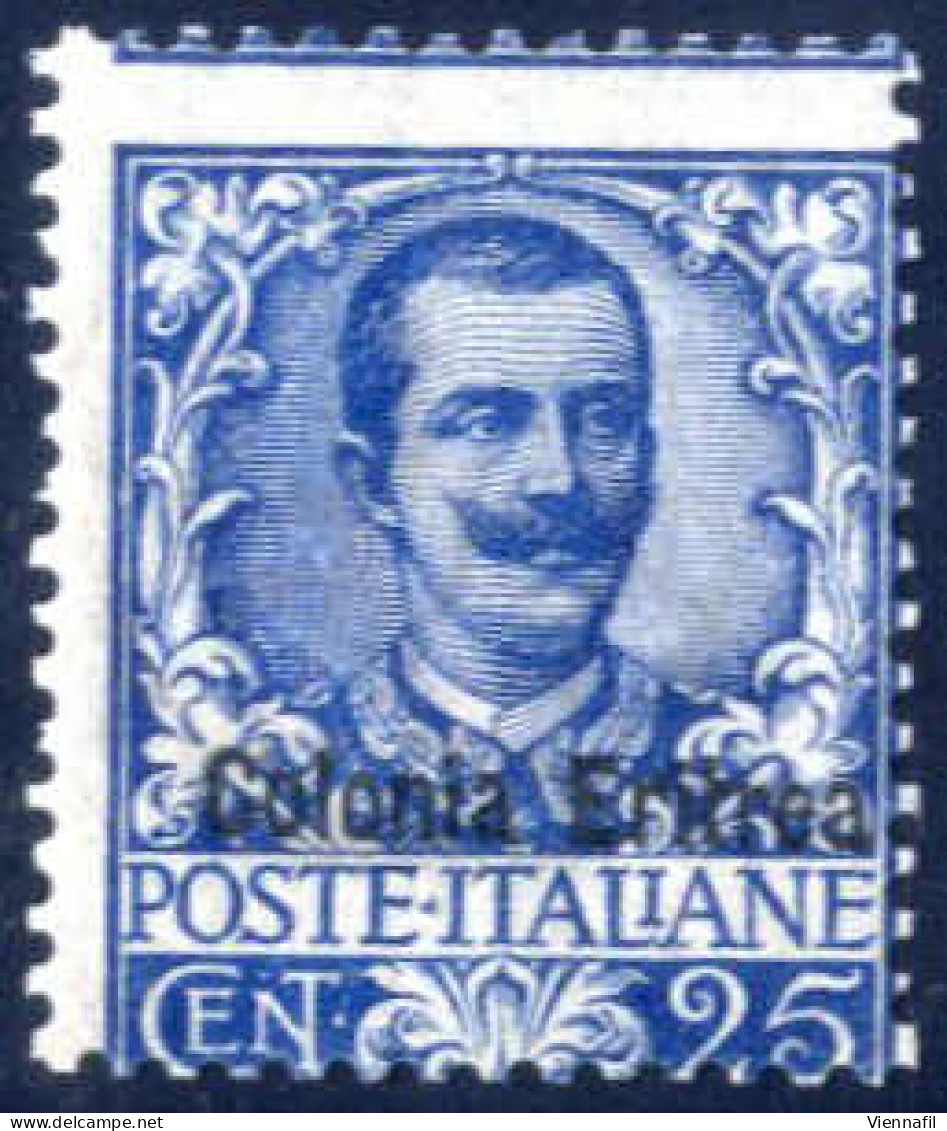 * 1903, Floreale 25 C. Azzurro Con Soprastampa "Colonia Eritrea", Nuovo Con Gomma Originale E Leggerissima Traccia Di Li - Erythrée