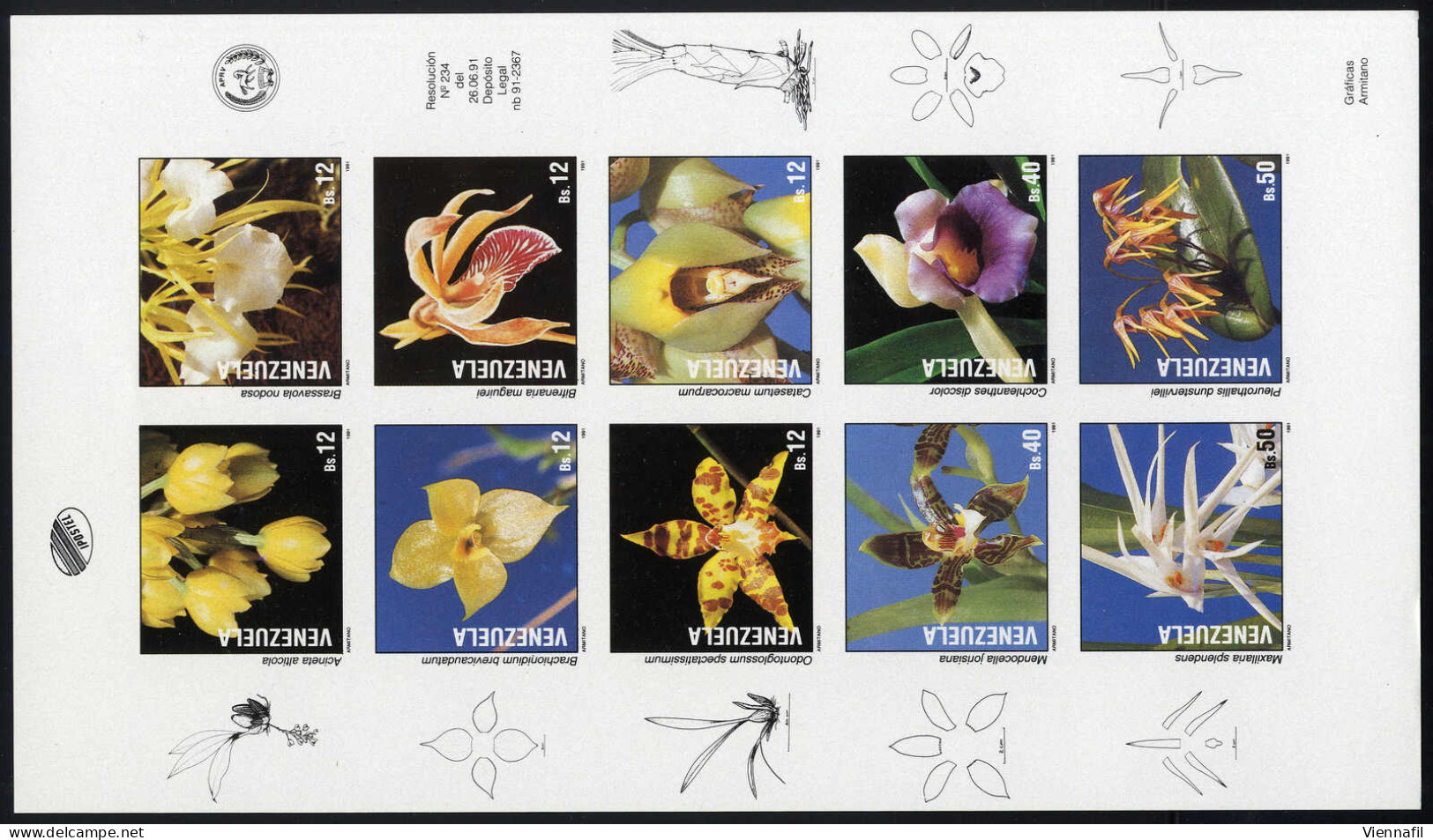 ** 1991, "Orchideen", Kleinbogen Ungezähnt, Postfrisch, Mi. 2668-2677 U - Venezuela