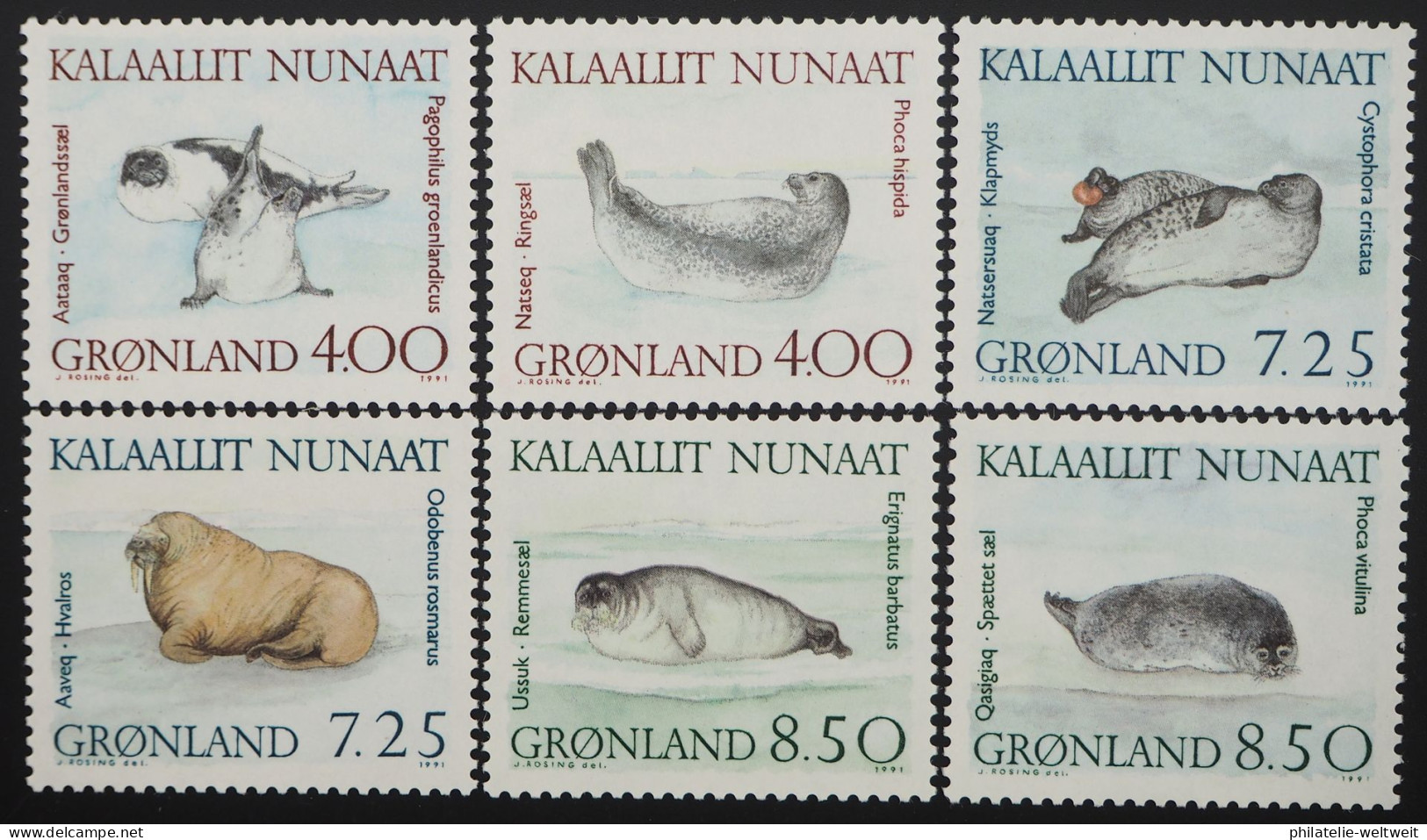 1991 Grönland; Serie Robben, Postfrisch/MNH, MiNr. 211/16, ME 13,- - Sonstige & Ohne Zuordnung