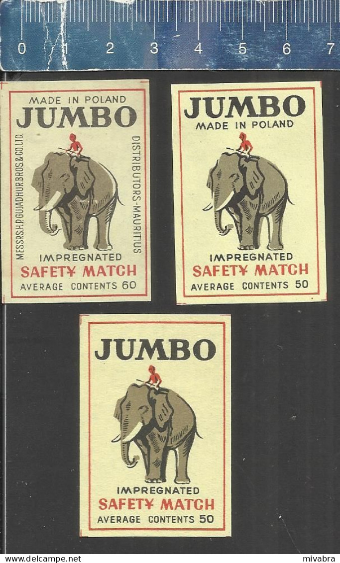 JUMBO (ELEPHANT ELEFANT OLIFANT ) - OLD VINTAGE EXPORT MATCHBOX LABELS POLAND - Zündholzschachteletiketten