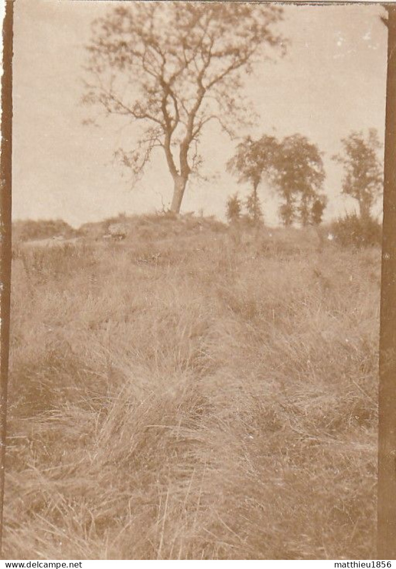 Photo 14-18 Secteur STEENSTRAAT (Steenstrate, Bikschote) - Une Vue (A252, Ww1, Wk 1) - Langemark-Pölkapelle