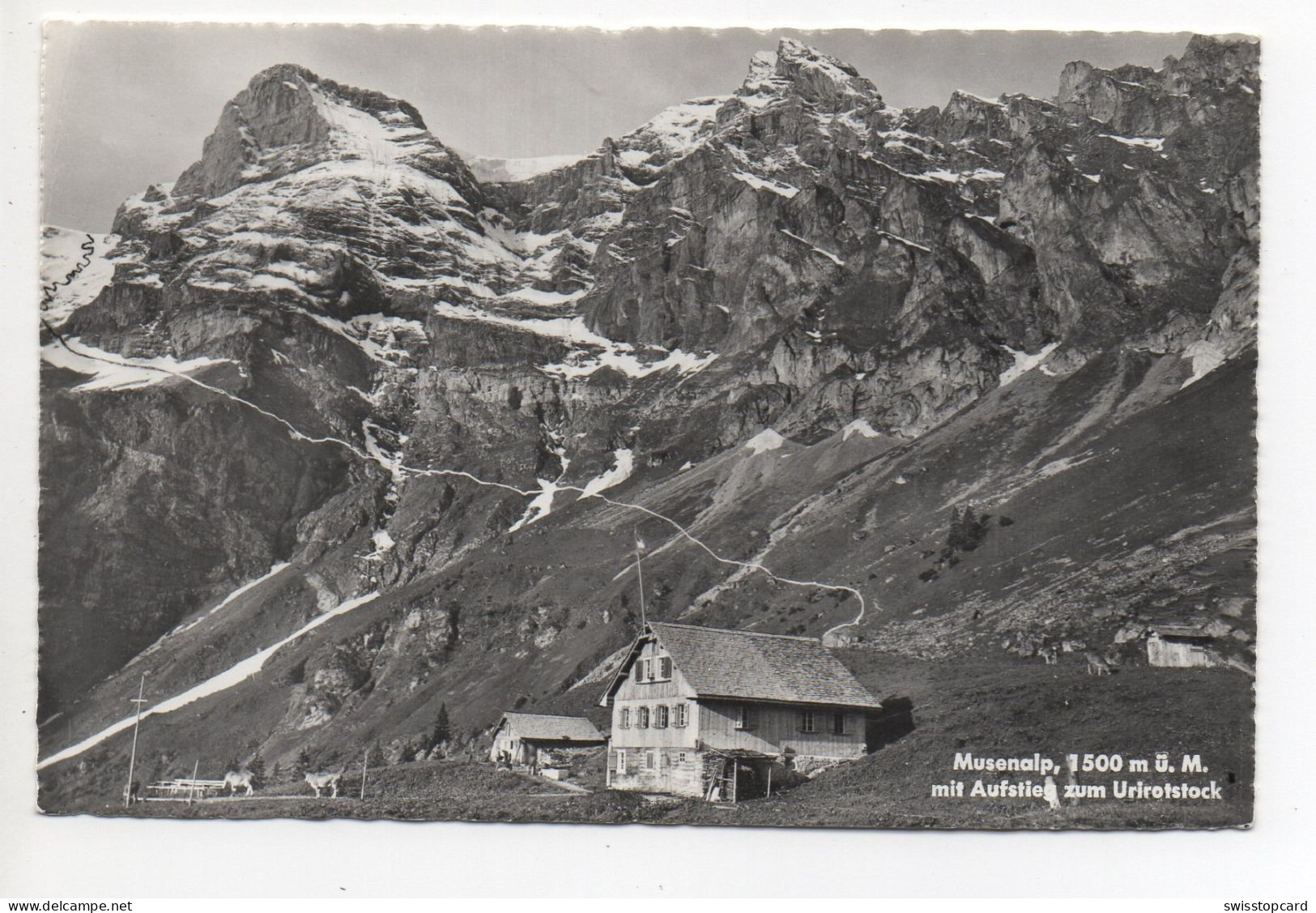 ISENTHAL Musenalp Mit Aufstieg Zum Urirotstock - Isenthal