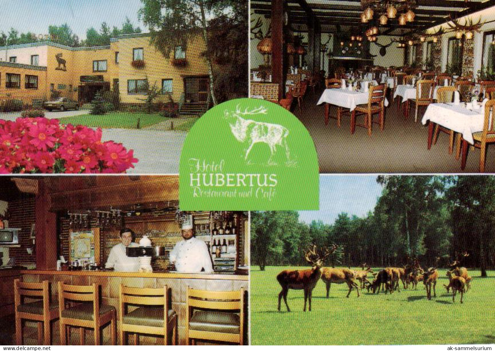Zicherie / Brome / Gifhorn / Hotel Hubertus (D-A410) - Gifhorn