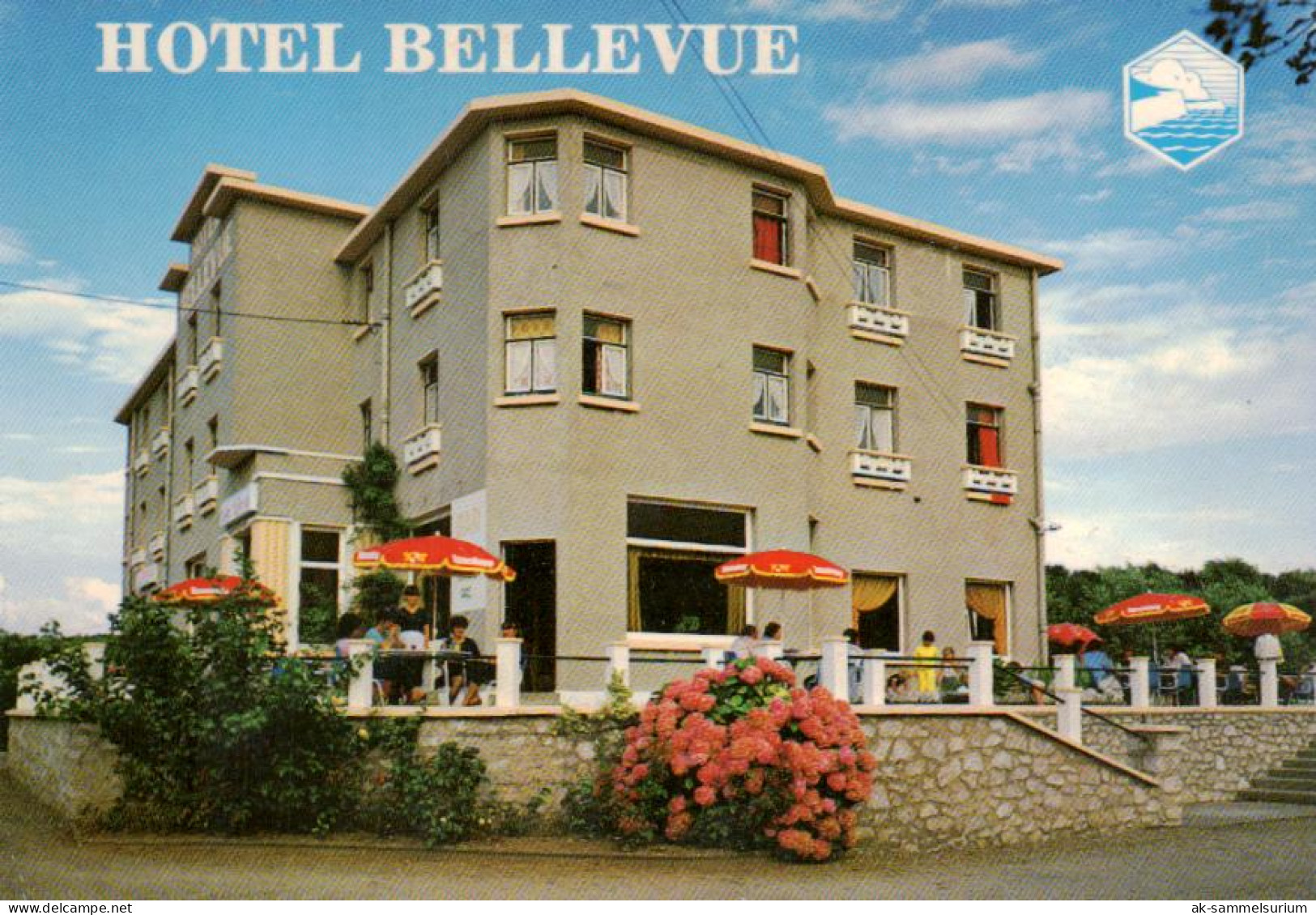 Wissant / Hotel Bellevue (D-A410) - Wissant