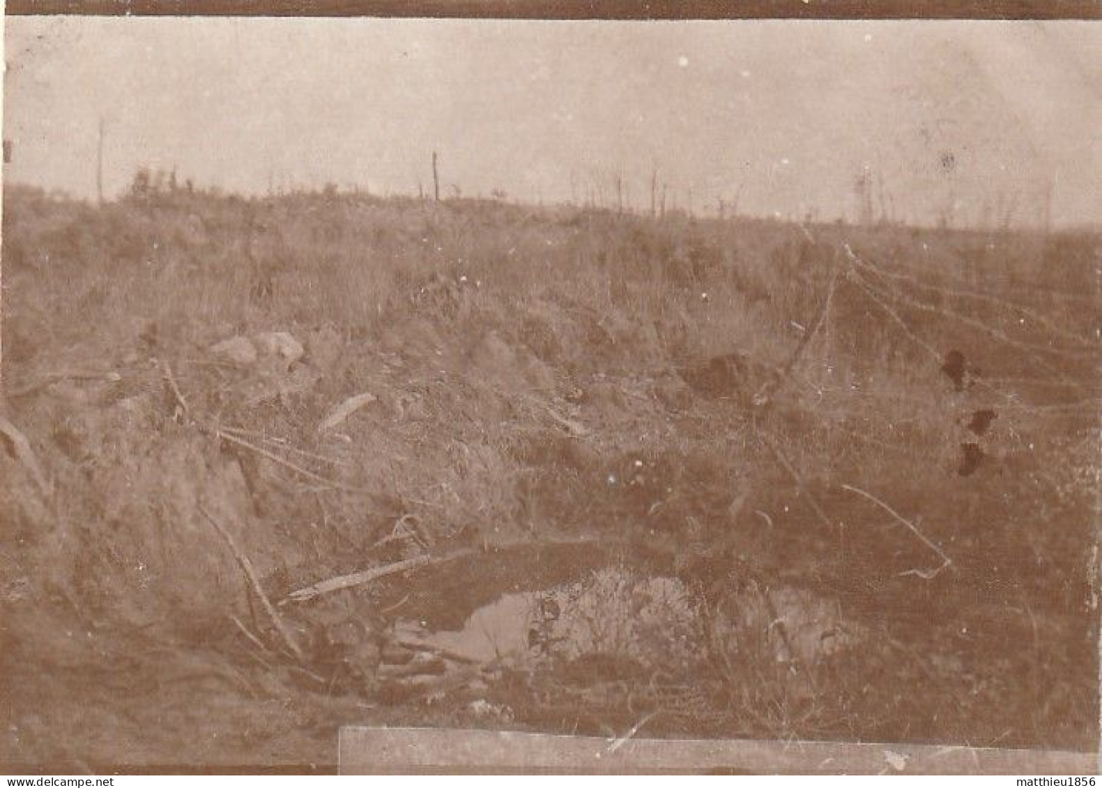 Photo 14-18 Secteur STEENSTRAAT (Bikschote) - Le Champ De Bataille, Un Trou D'obus (A252, Ww1, Wk 1) - Langemark-Poelkapelle