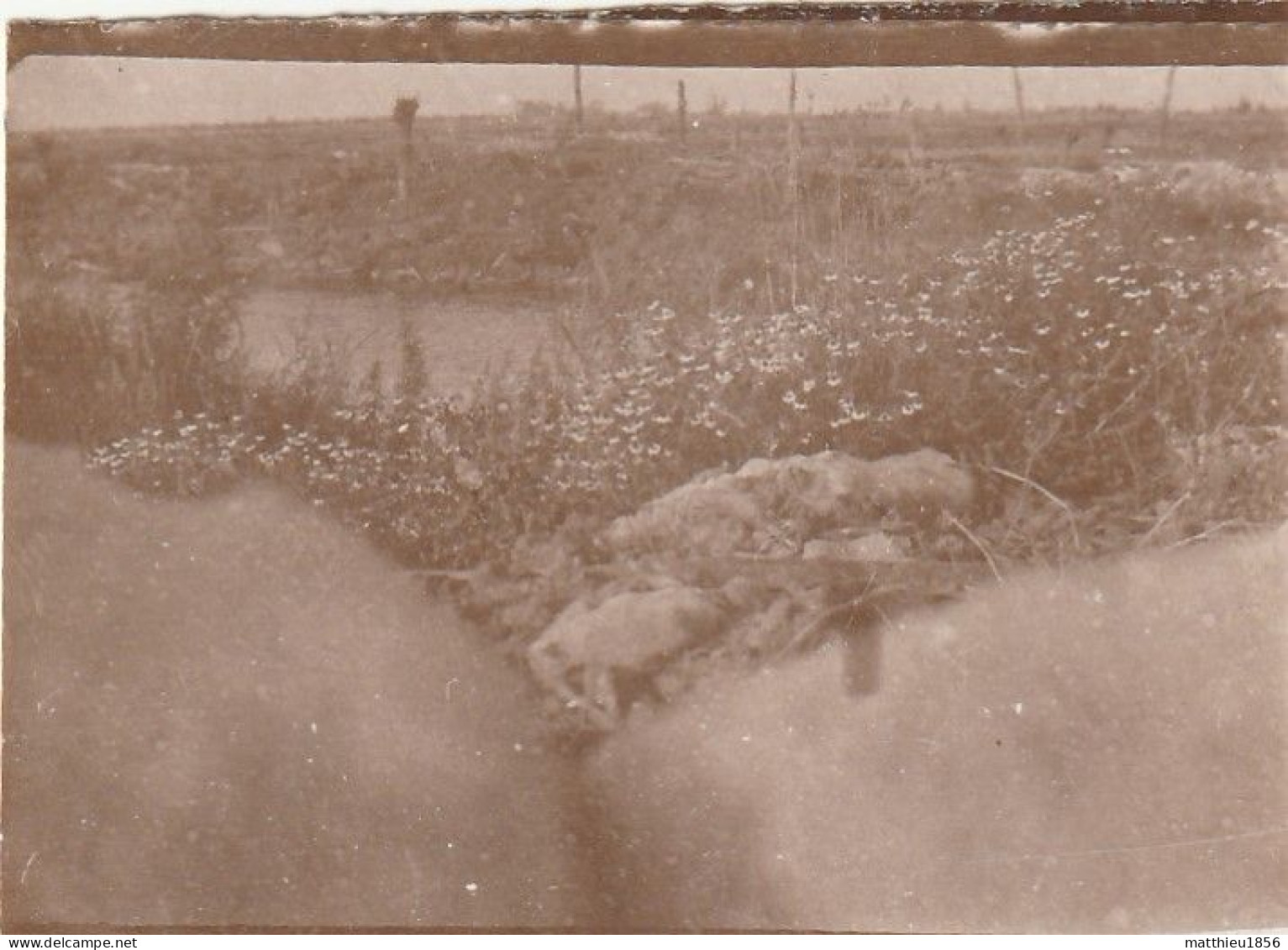 Photo 14-18 Secteur STEENSTRAAT (Bikschote) - Une Vue De Nos Tranchées, Le Champ De Bataille (A252, Ww1, Wk 1) - Langemark-Poelkapelle