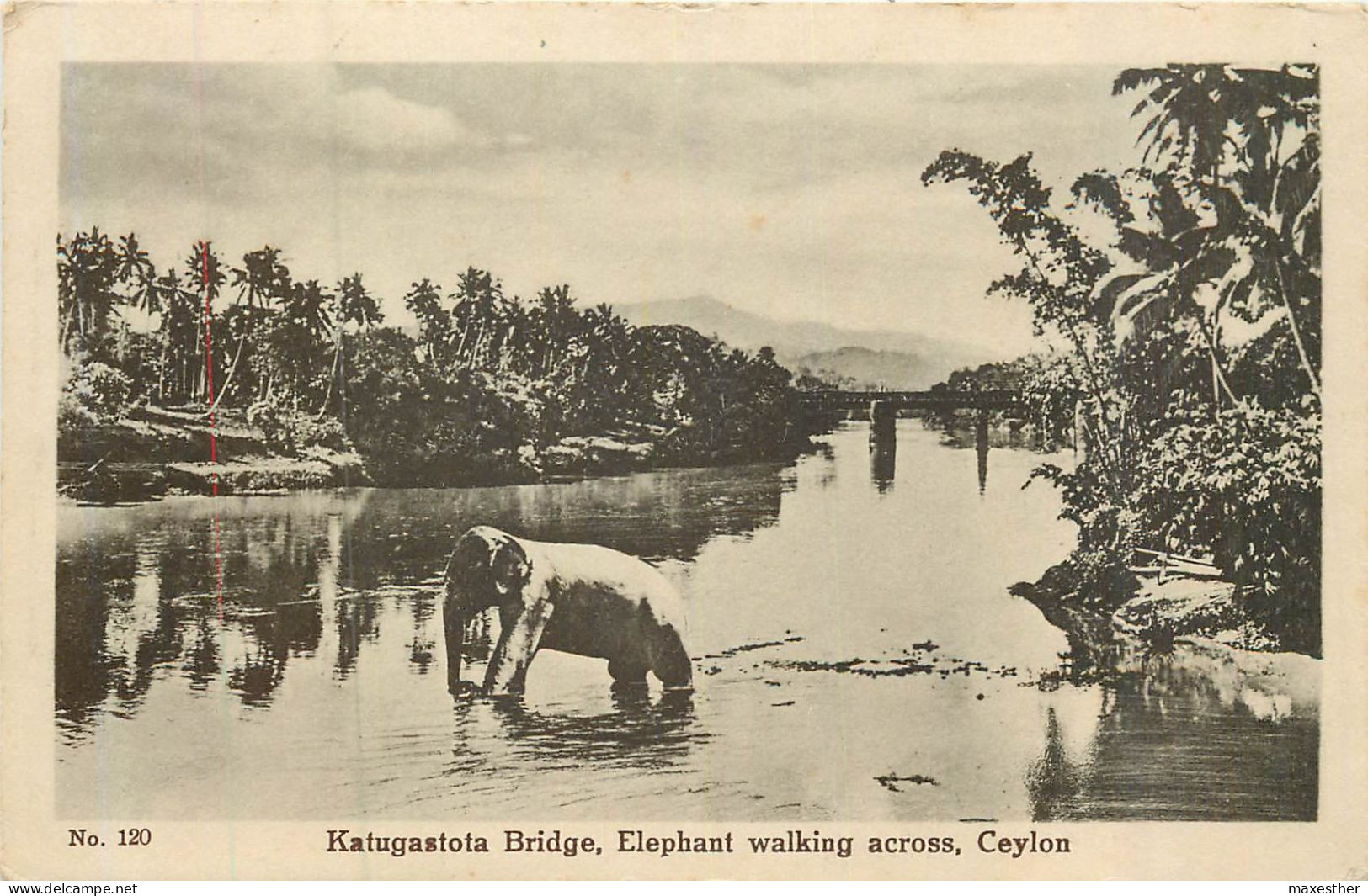KATUGASTOTA  Bridge éléphant Au Bain - Sri Lanka (Ceylon)