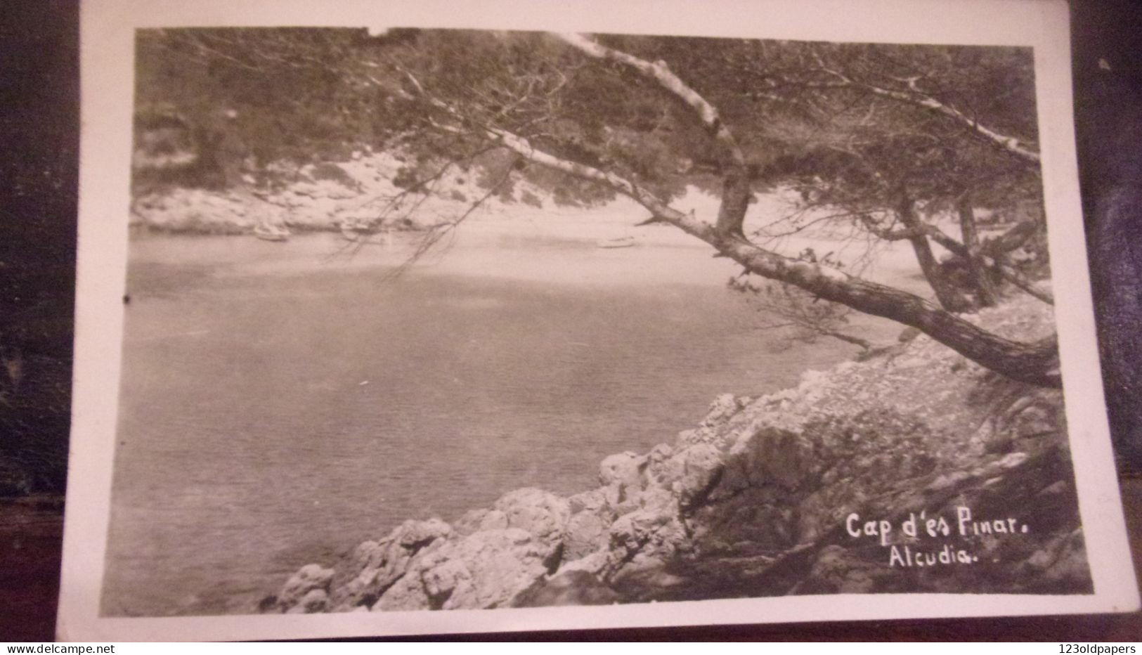 SPAIN ESPAGNE ALCUDIA CARTE PHOTO MASCARO - Sonstige & Ohne Zuordnung