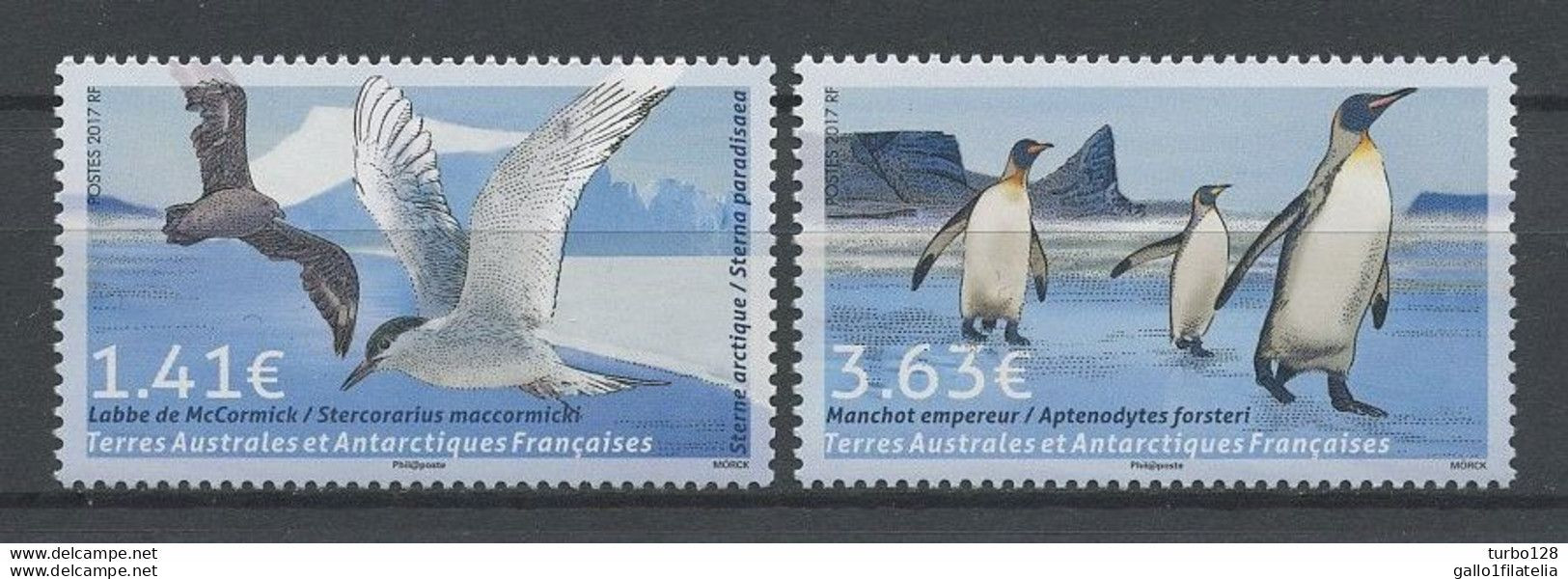 2017 - TAAF- TERRE AUSTRALI ED ANTARTICHE FRANCESI - UCCELLI / BIRDS - JOINT ISSUE WITH GREENLAND. MNH - Gezamelijke Uitgaven