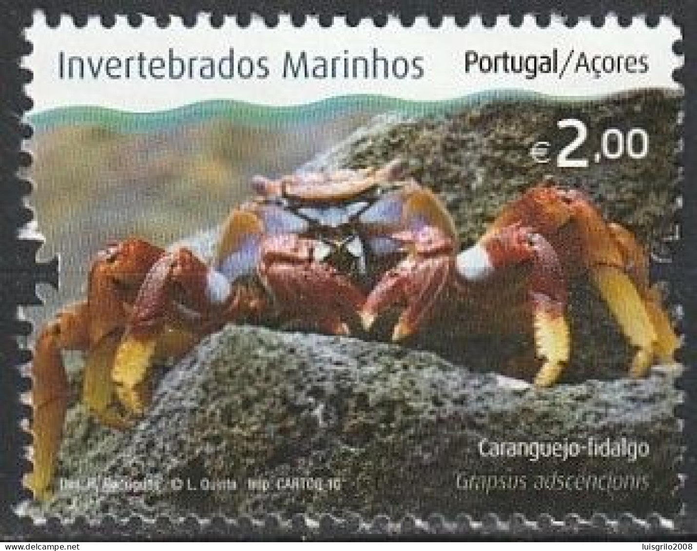 Portugal, 2010 - Invertebrados Marinhos Dos Açores, €2,00 -|- Mundifil - 3999 - Oblitérés