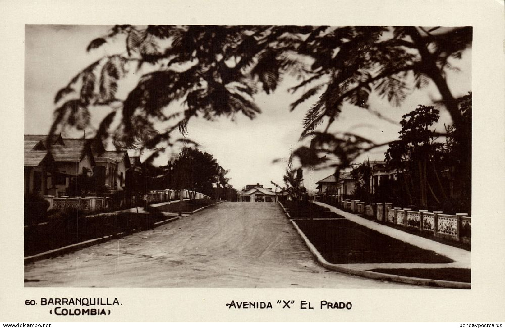 Colombia, BARRANQUILLA, Avenida "X" El Prado (1920s) RPPC Postcard - Colombie