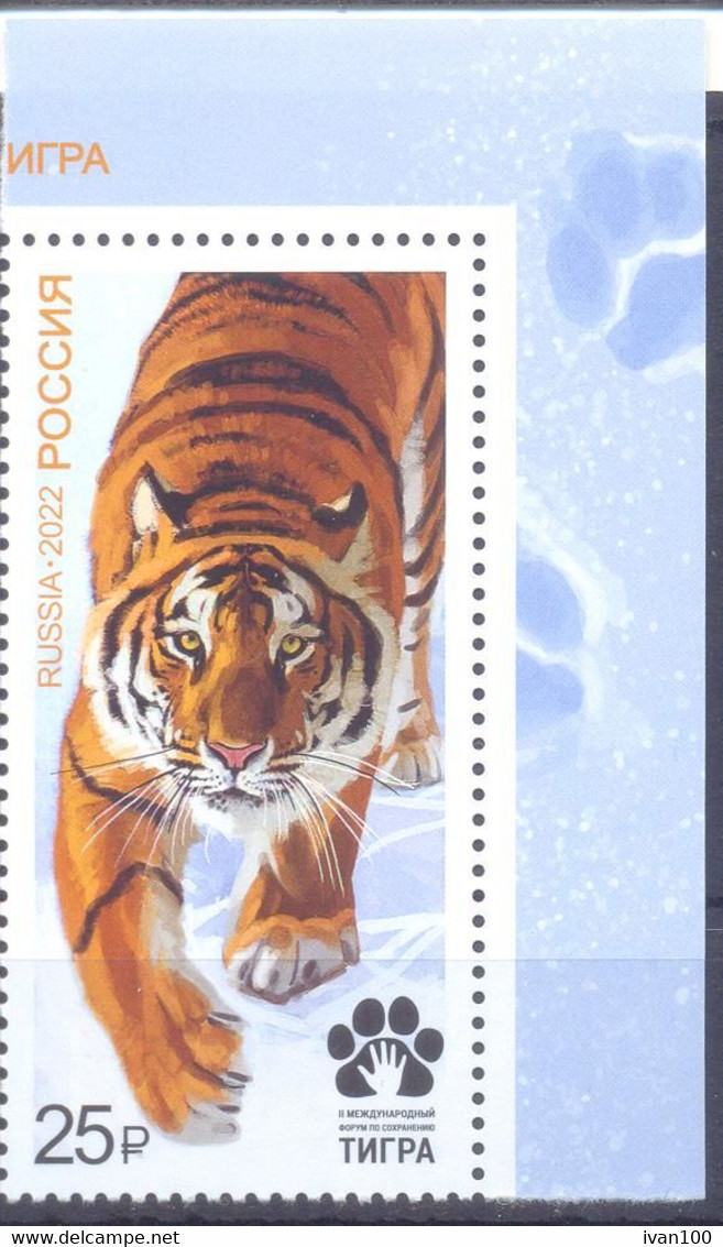 2022. Russia, Tiger, International Forum, 1v, Mint/** - Unused Stamps