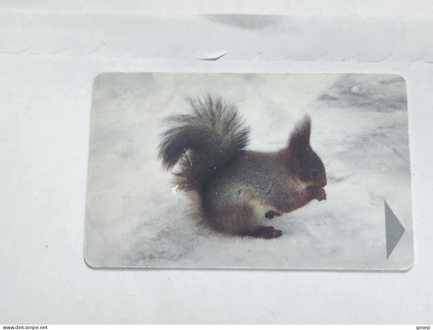 BELARUS-(BY-BLT-133b)-Squirrel-(114)(GOLD CHIP)(022360)(tirage-319.000)used Card+1card Prepiad Free - Belarus