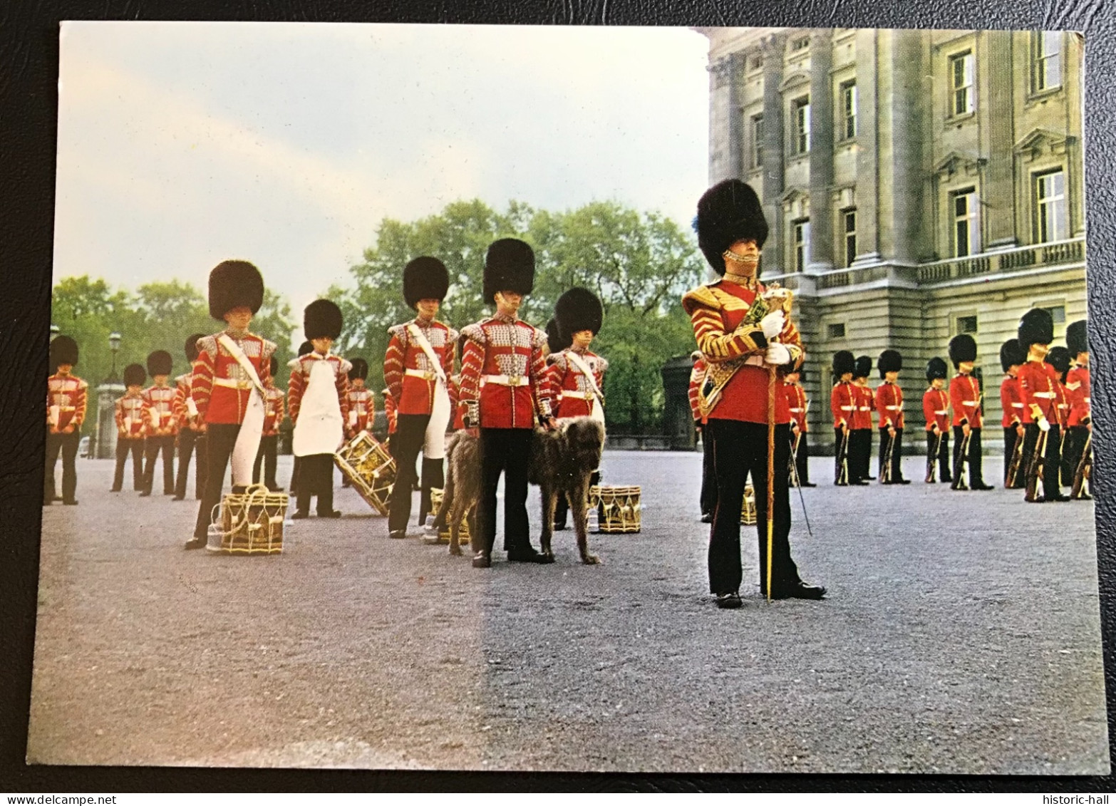 THE CORPS OF DRUMS 1st Battalion Irish Guards In Forecourt Of Buckingham Palace With Mascot « Shaun » - Buckingham Palace