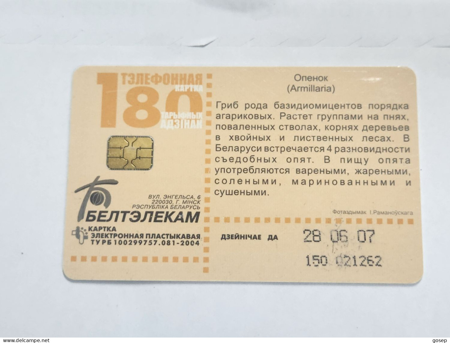 BELARUS-(BY-BLT-150)-Mushroom Armillaria-(129)(GOLD CHIP)(021262)(tirage-61.300)-used Card+1card Prepiad Free - Belarús