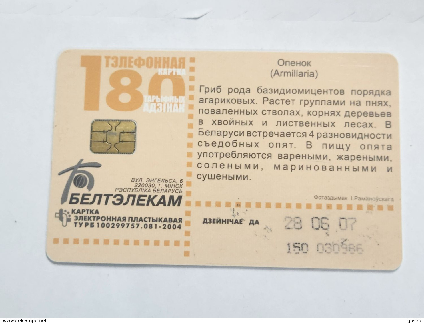 BELARUS-(BY-BLT-150)-Mushroom Armillaria-(130)(GOLD CHIP)(030986)(tirage-61.300)-used Card+1card Prepiad Free - Belarus