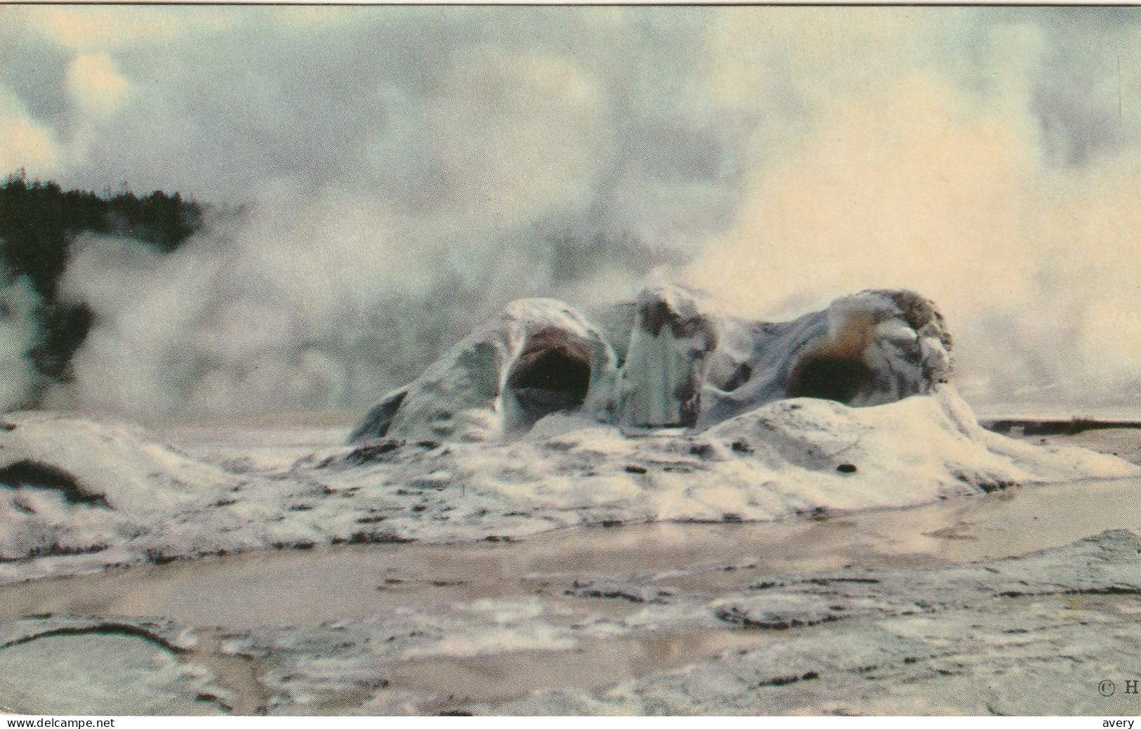 Grotto Geyser Cone, Upper Geyser Basin, Yellowstone National Park, Wyomong  Is A Curious Example Of Geyserite - Yellowstone