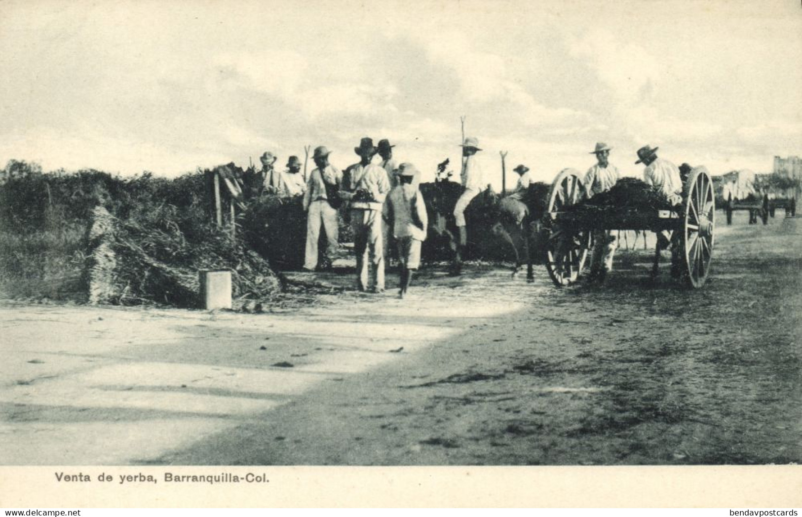 Colombia, BARRANQUILLA, Venta De Yerba (1910s) Postcard - Colombie