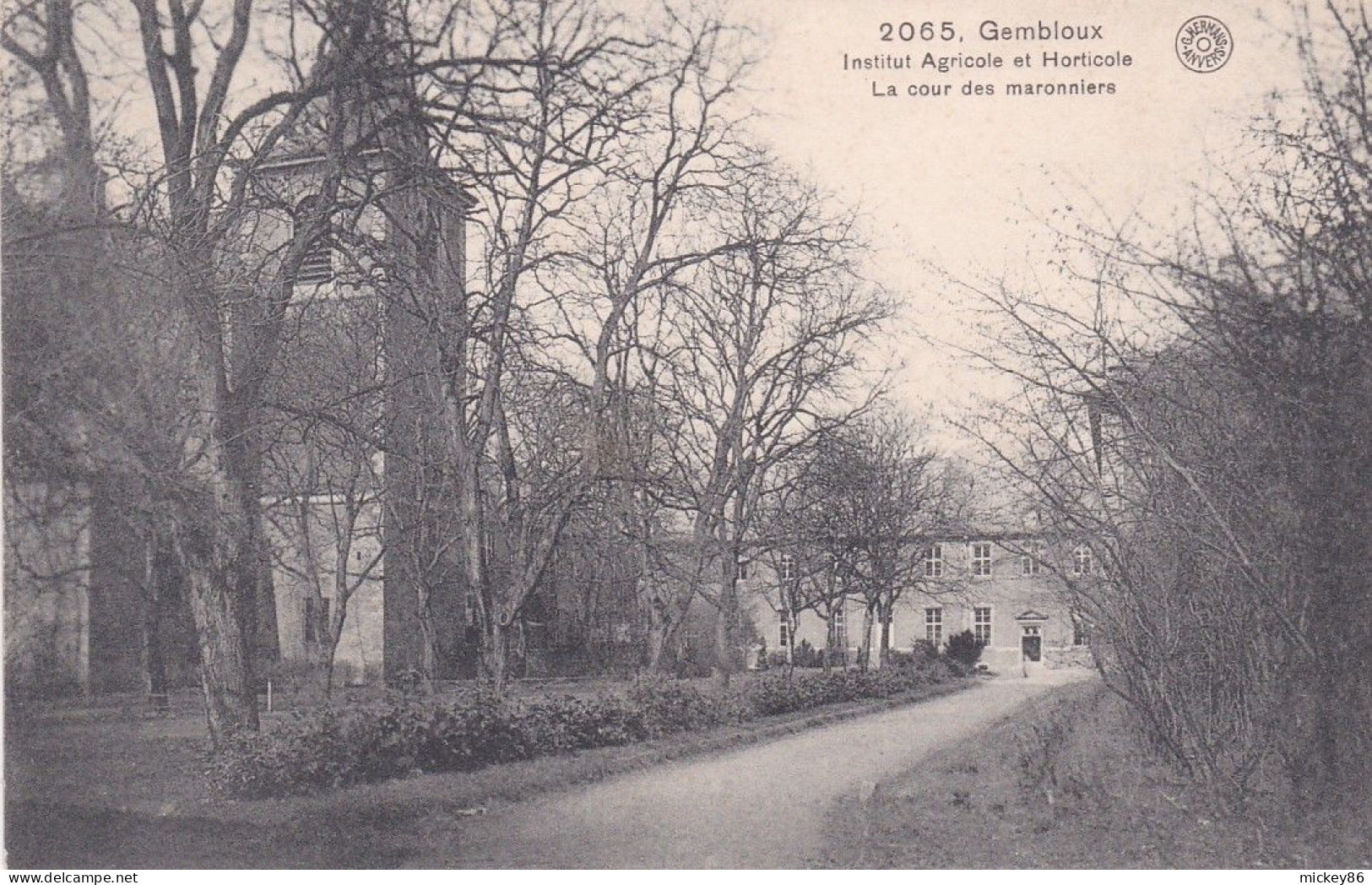 Belgique--GEMBLOUX --Institut Agricole Et Horticole--La Cour Des Maronniers.........pas Très Courante - Gembloux