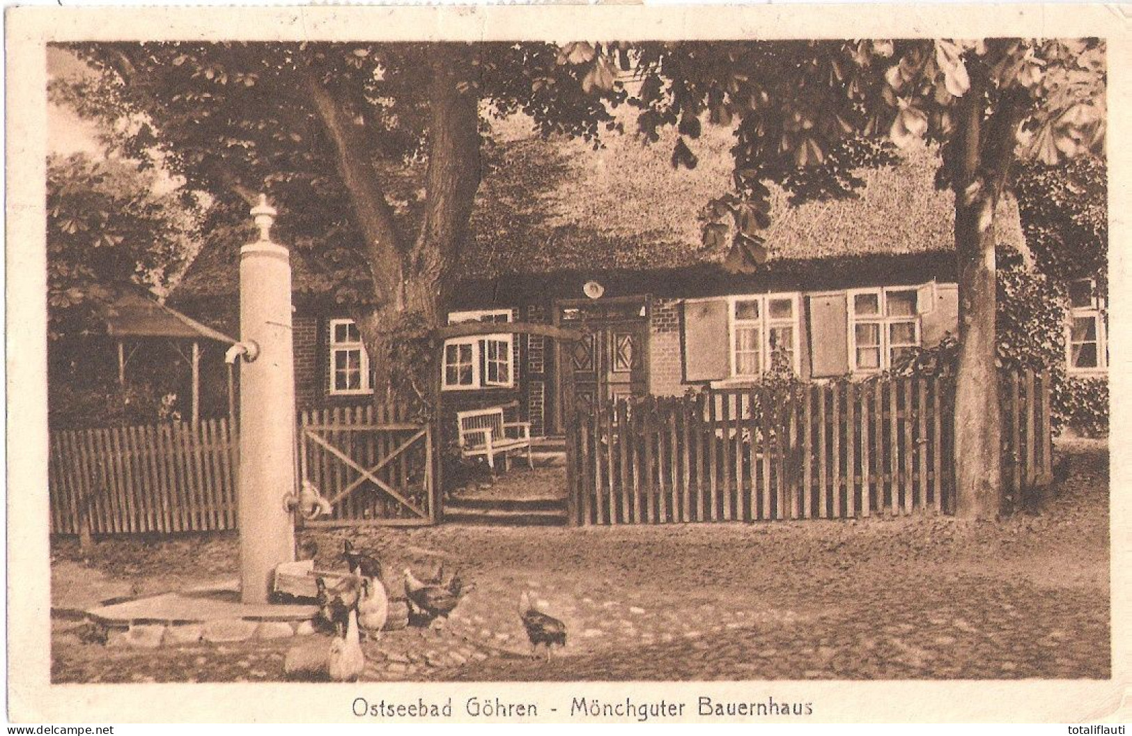 Ostseebad GÖHREN Insel Rügen Mönchguter Bauernhaus Hühnerschar Am Wasserspender Gelaufen Mit Infla Frankatur 20.7.1923 - Göhren