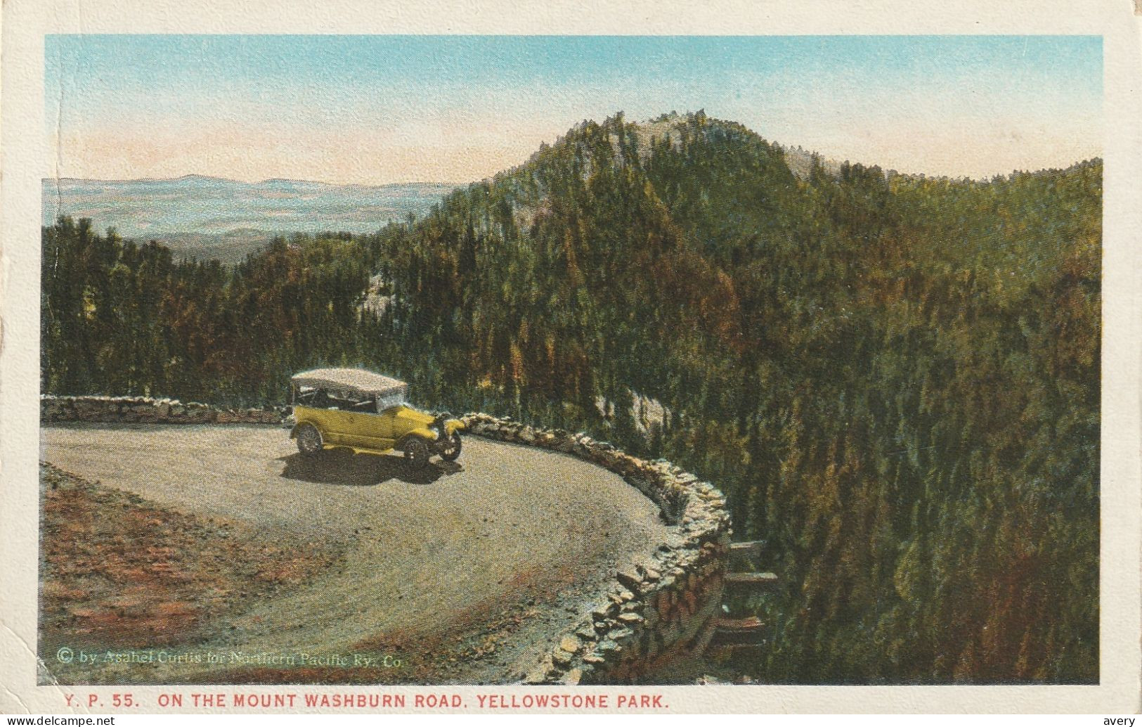 On The Mount Washburn Road, Yellowstone National Park, Wyoming - Yellowstone