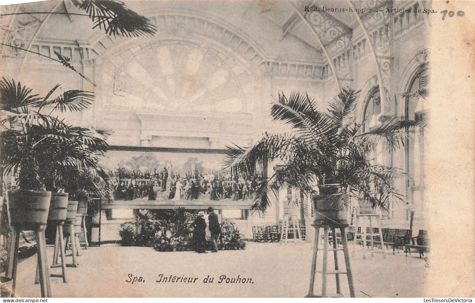 BELGIQUE - Spa - Intérieur Du Pouhon - Plantes - Carte Postale Ancienne - Spa