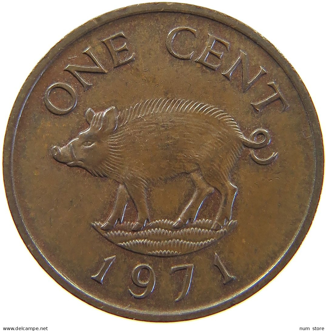 BERMUDA CENT 1971 ELIZABETH II. (1952-) #MA 063139 - Bermuda