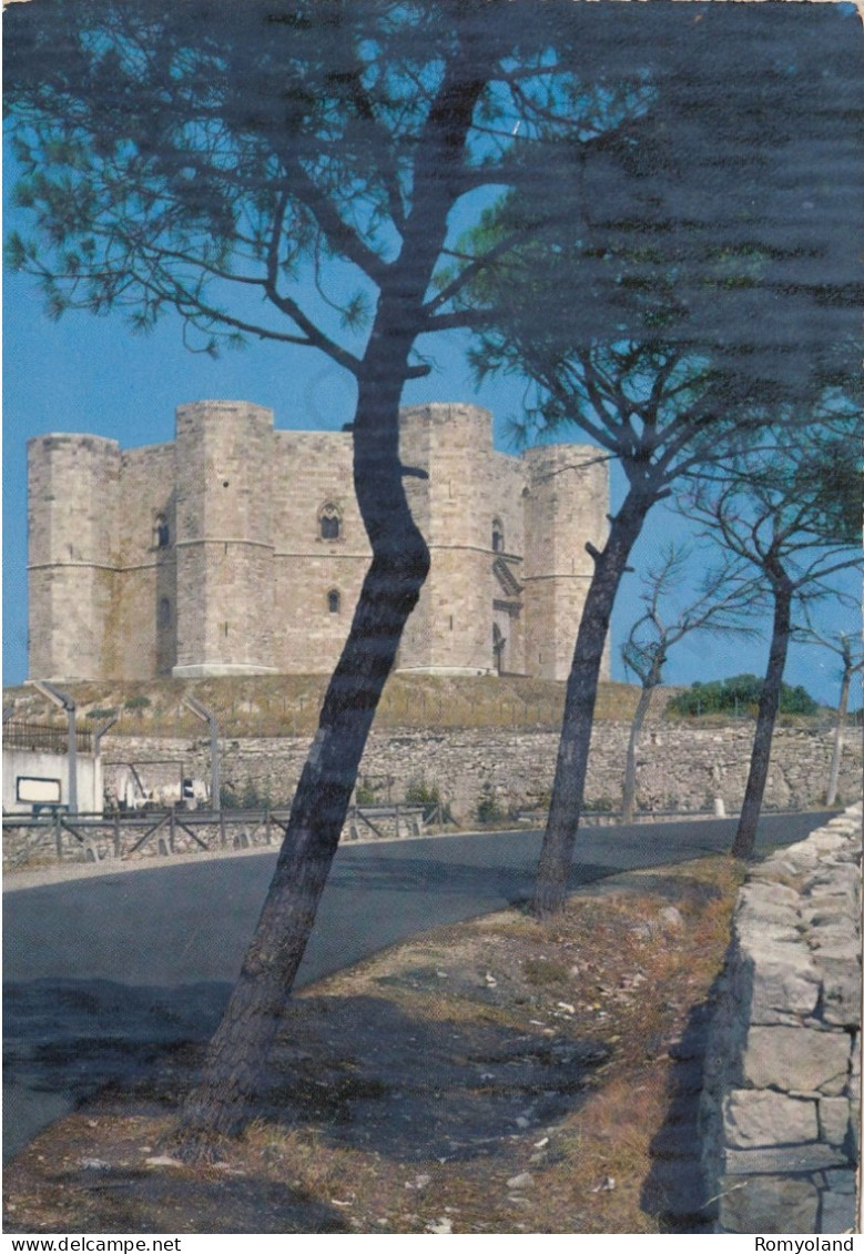 CARTOLINA  CASTEL DEL MONTE,ADRIA,PUGLIA-STORIA,MEMORIA,CULTURA,RELIGIONE,IMPERO ROMANO,BELLA ITALIA,VIAGGIATA 1977 - Andria