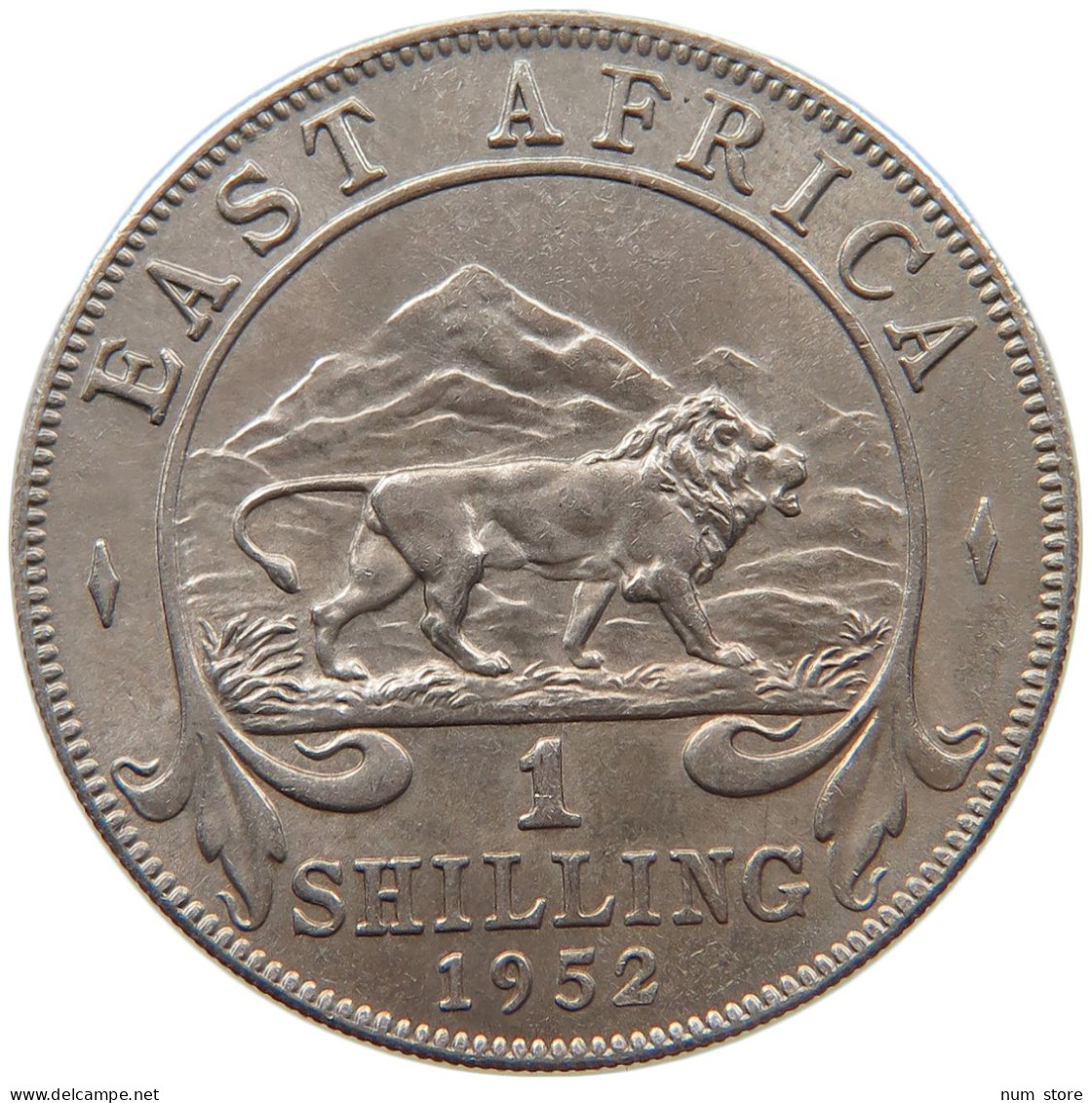 EAST AFRICA SHILLING 1952 GEORGE VI. (1936-1952) #MA 065500 - Britse Kolonie