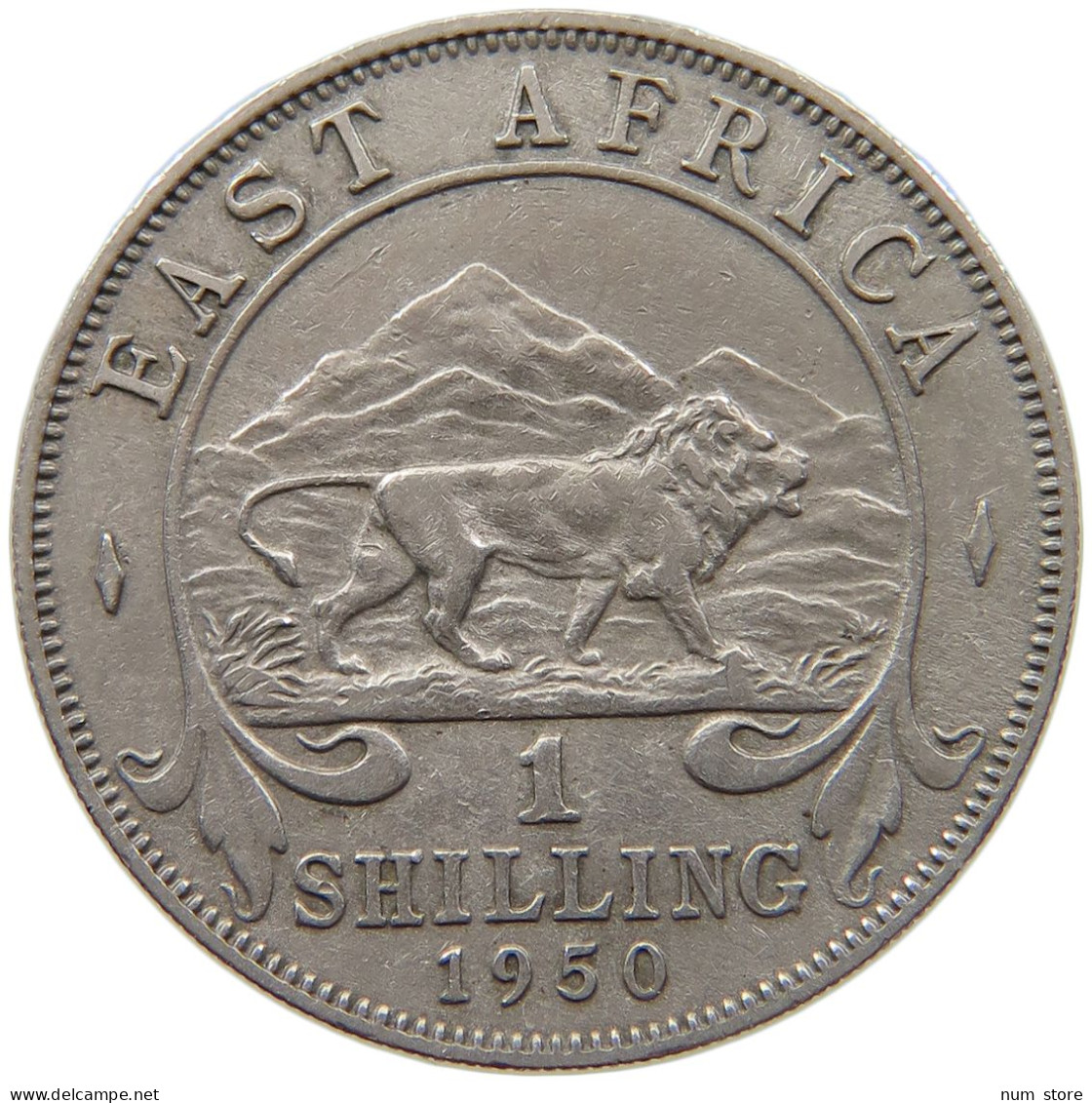 EAST AFRICA SHILLING 1950 GEORGE VI. (1936-1952) #MA 065497 - British Colony