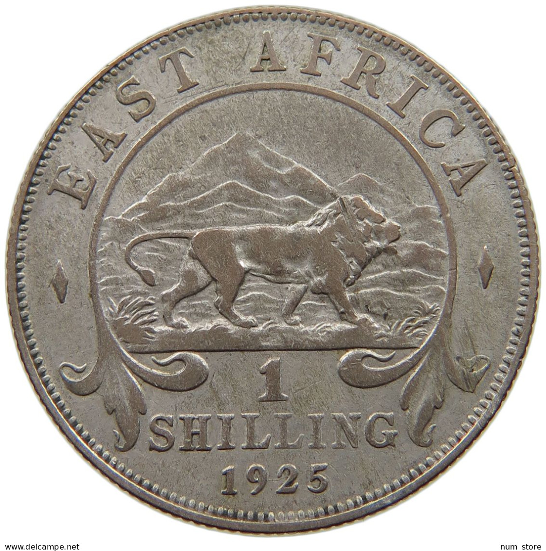 EAST AFRICA SHILLING 1925 GEORGE V. #MA 020904 - Colonia Britannica