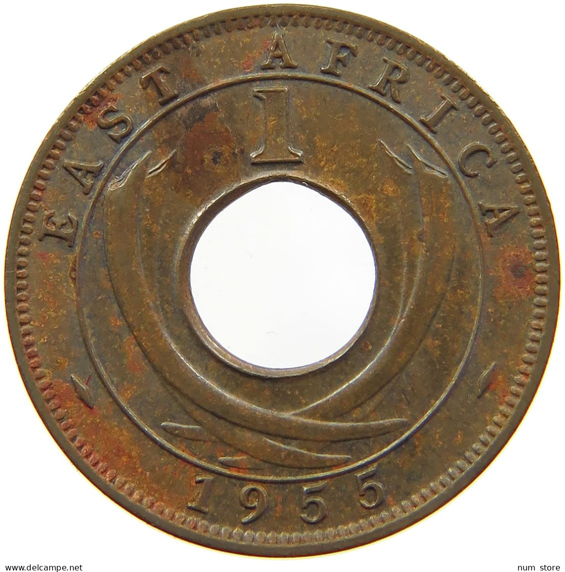 EAST AFRICA CENT 1955 ELIZABETH II. (1952-) #MA 065550 - Britse Kolonie