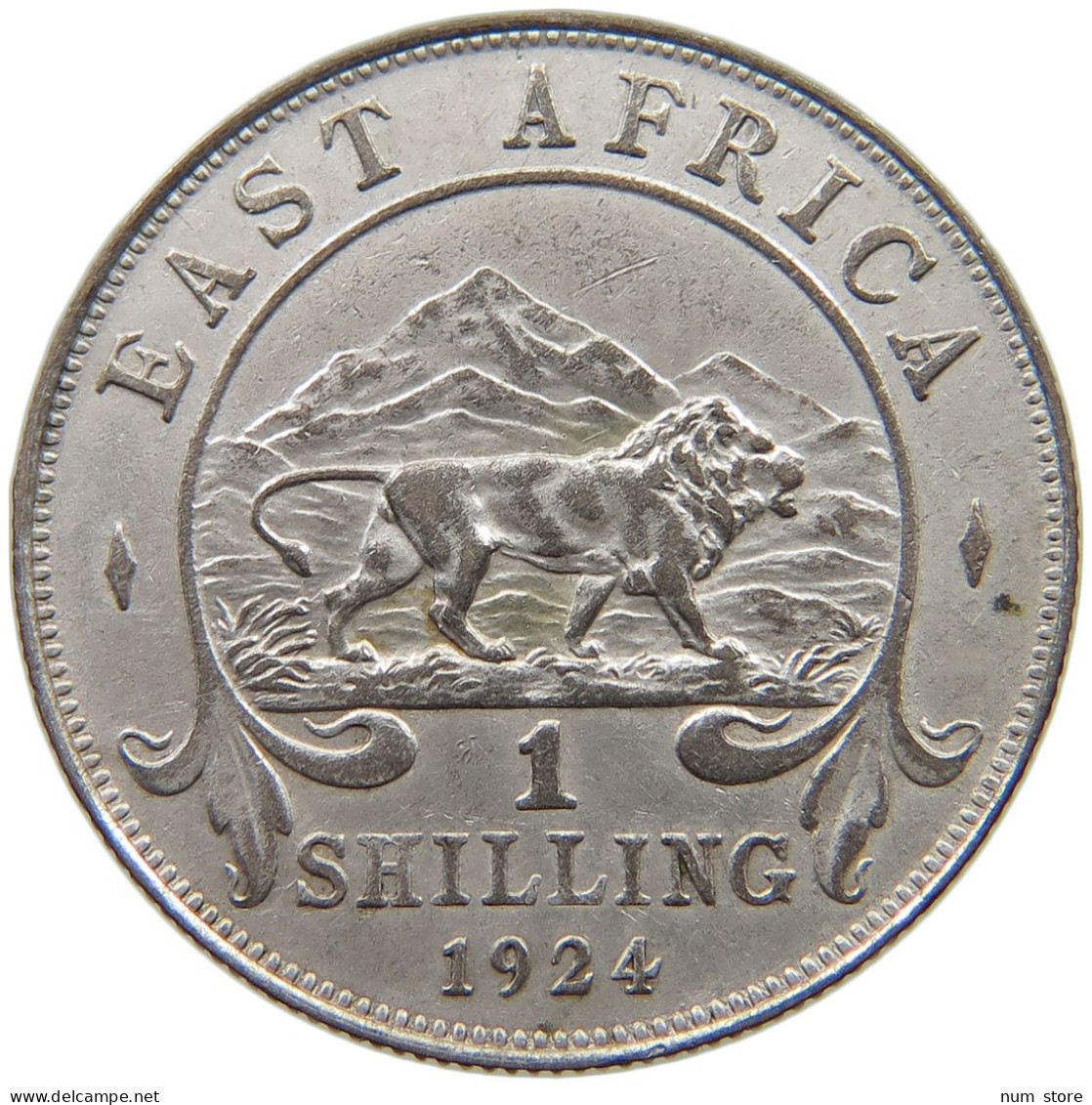 EAST AFRICA SHILLING 1924 GEORGE V. #MA 020905 - Colonia Britannica